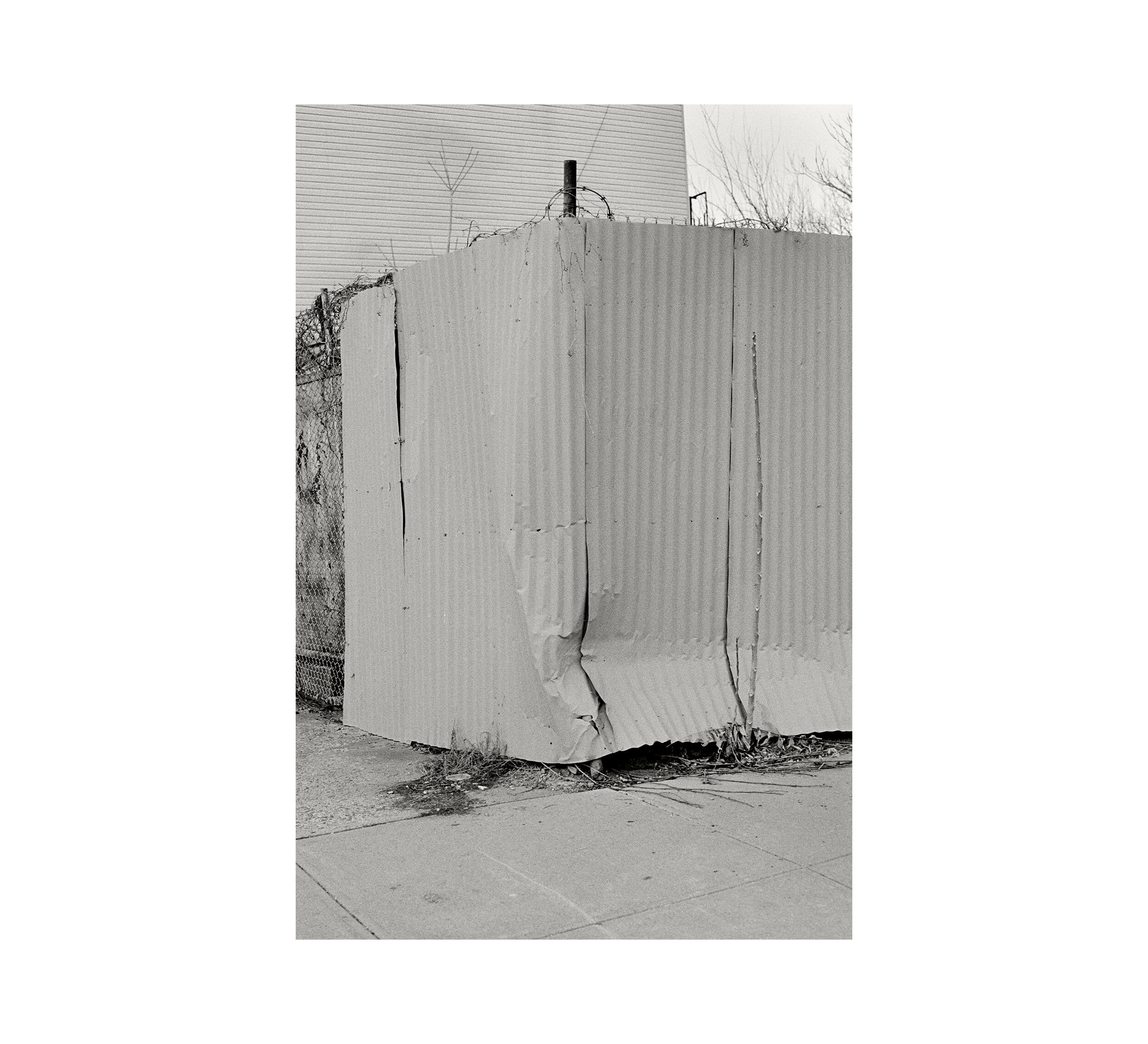   Private Lot (dog fights) , 2013 gelatin silver print image 6 1/2 x 4 3/8 in paper 10 x 8 in 