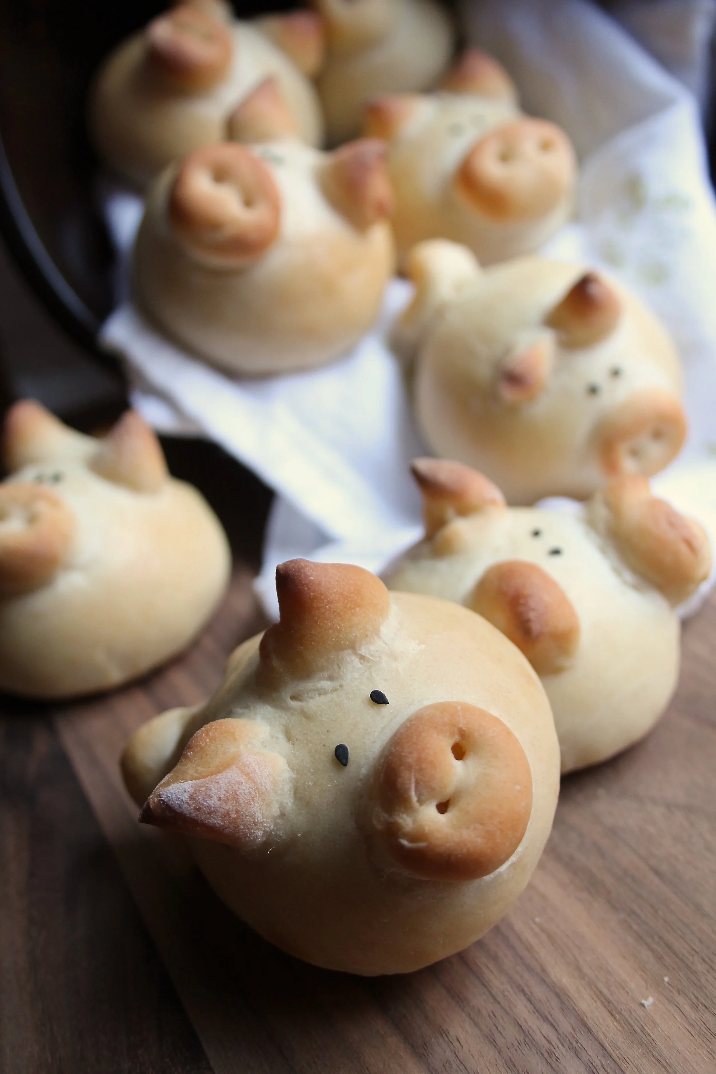 Piggy Rolls
