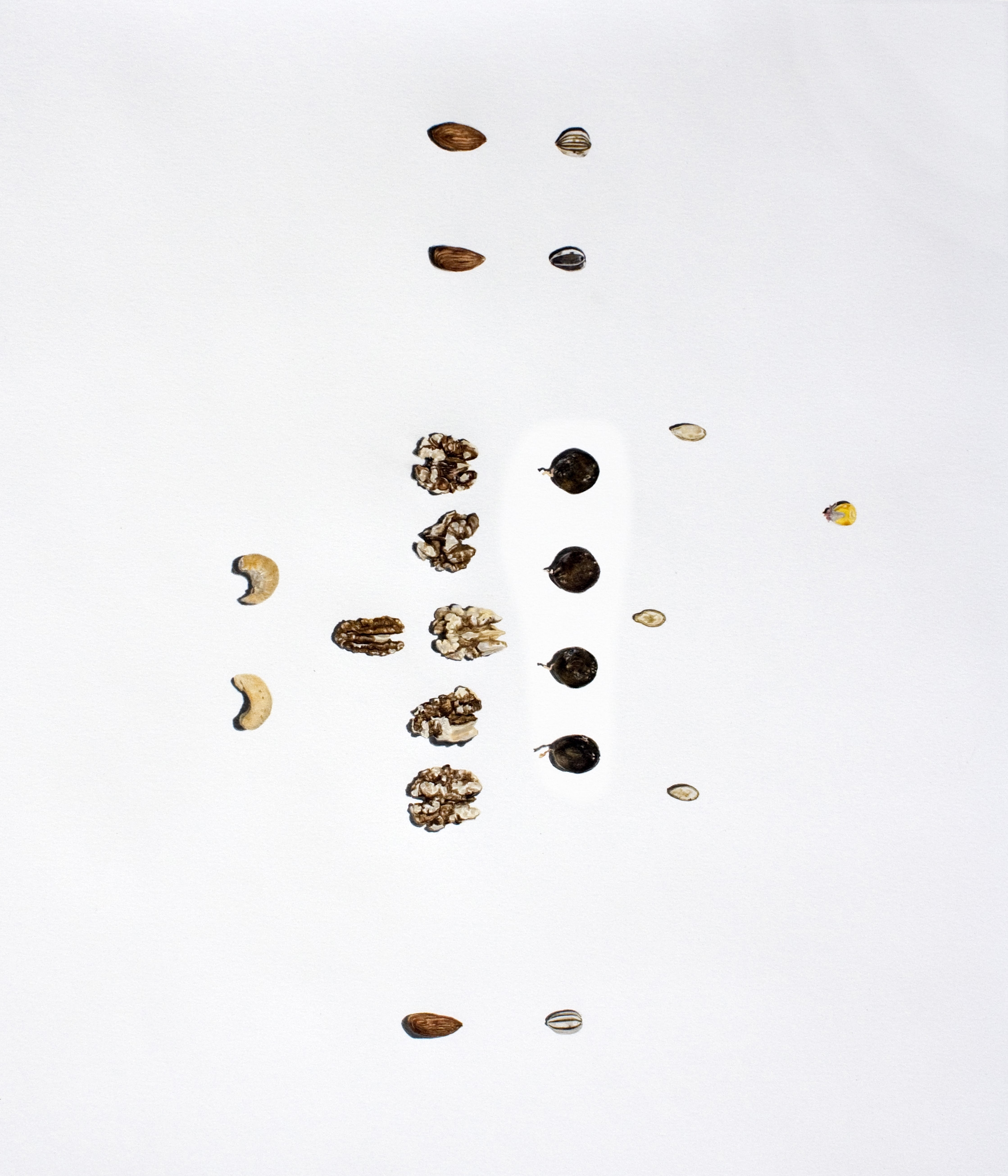 Nuts vs. Seeds (football formation)
