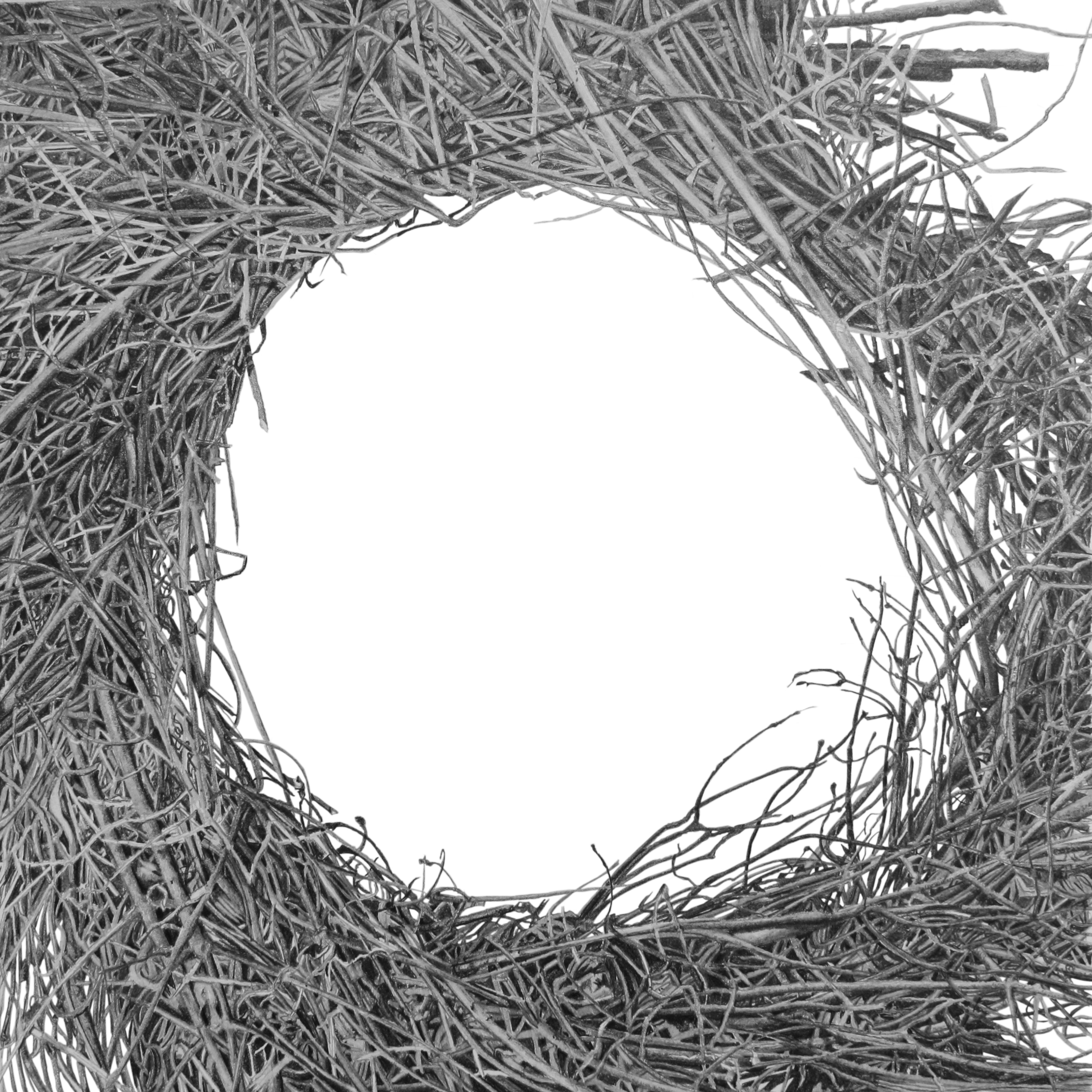 Sticks Enclosed Circle