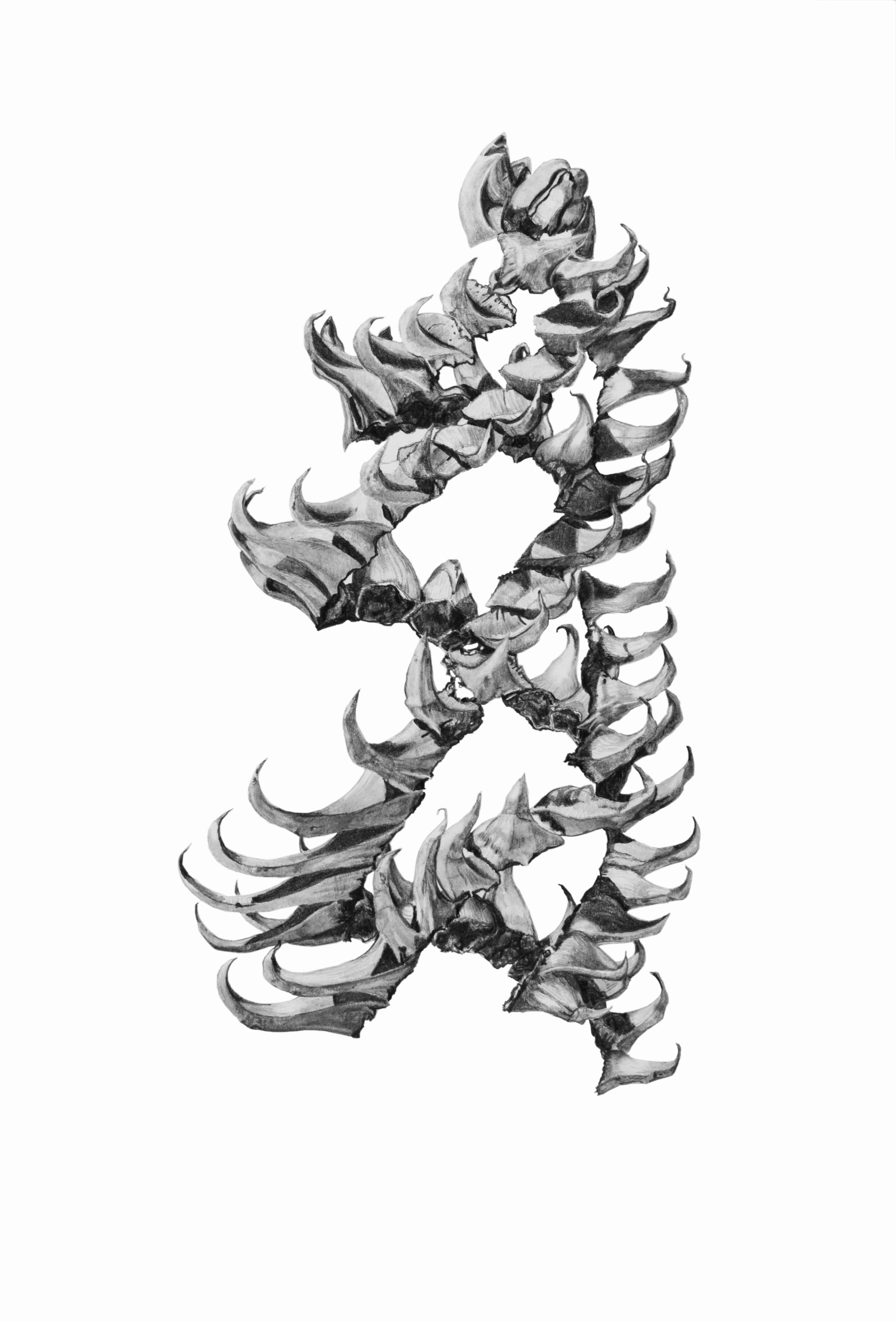 Pine Code