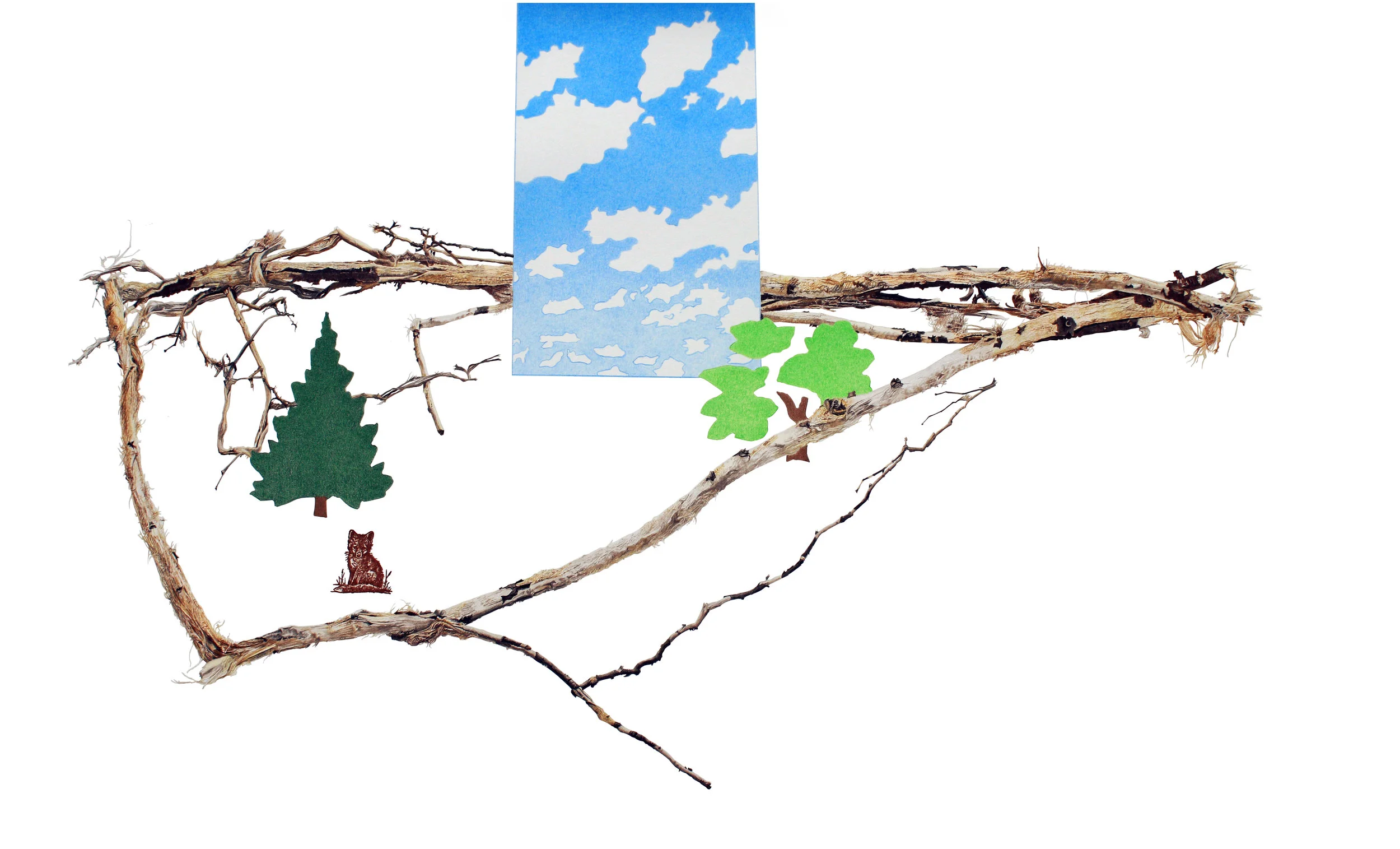 Nature Pens Its' Representation
