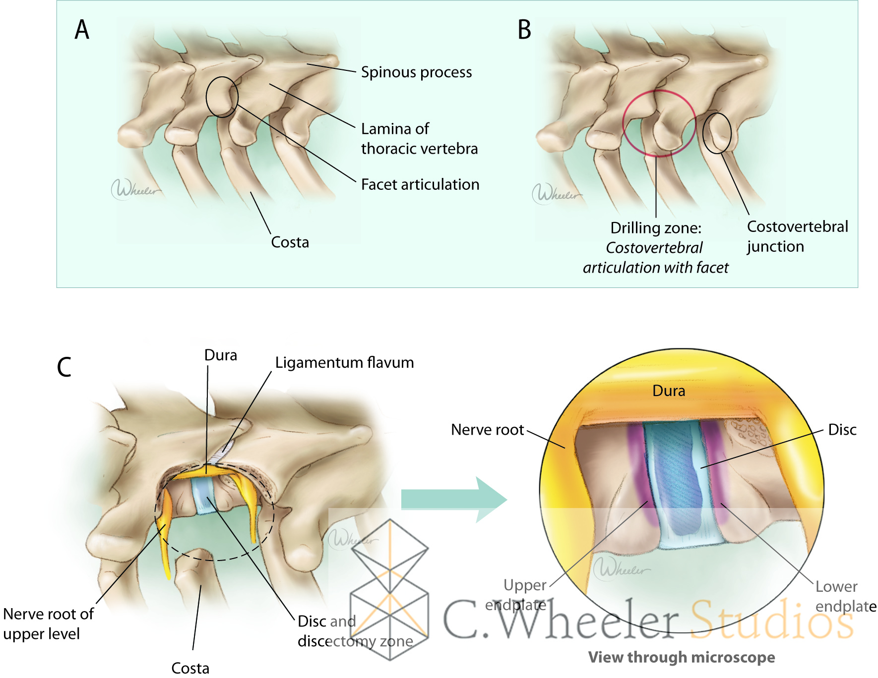 Figure02_20170926 copy.jpg