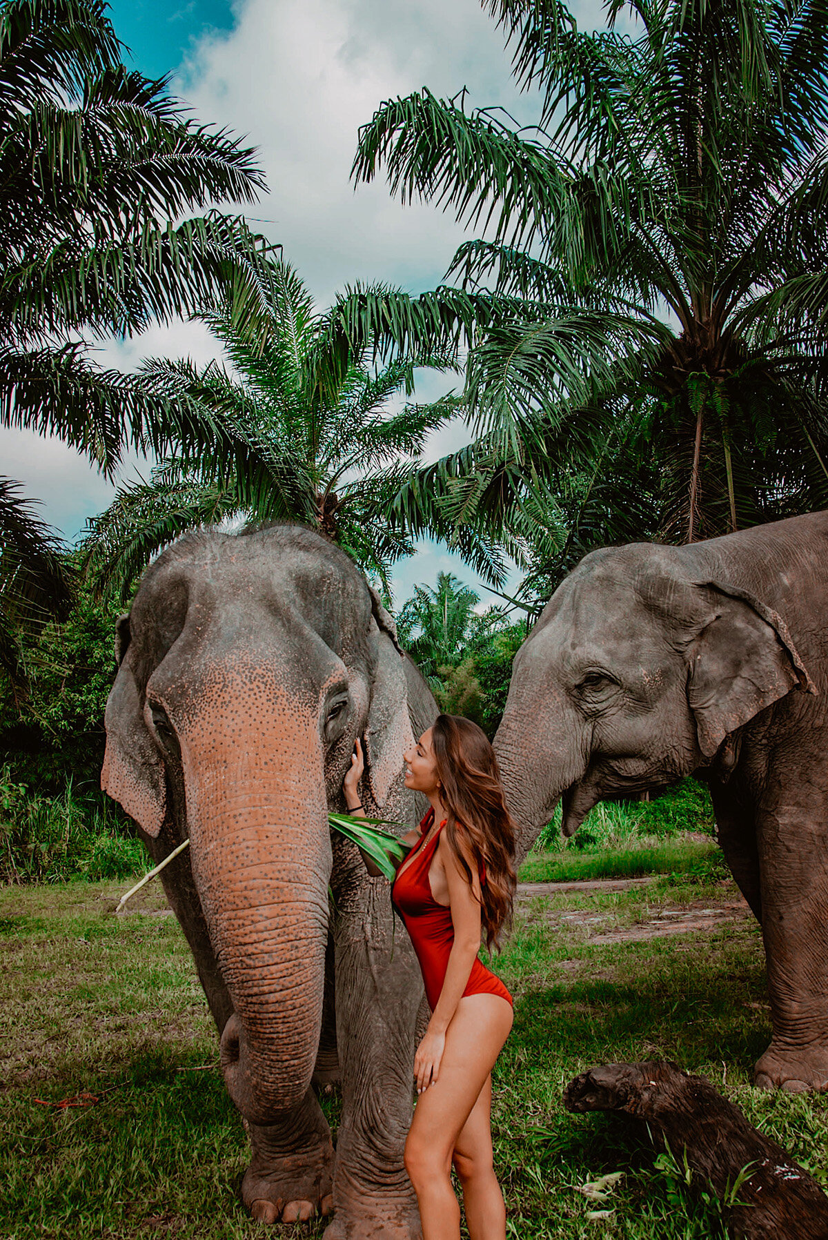 thailand-elephants-tourism-review-sanctuary-in-krabi.jpg