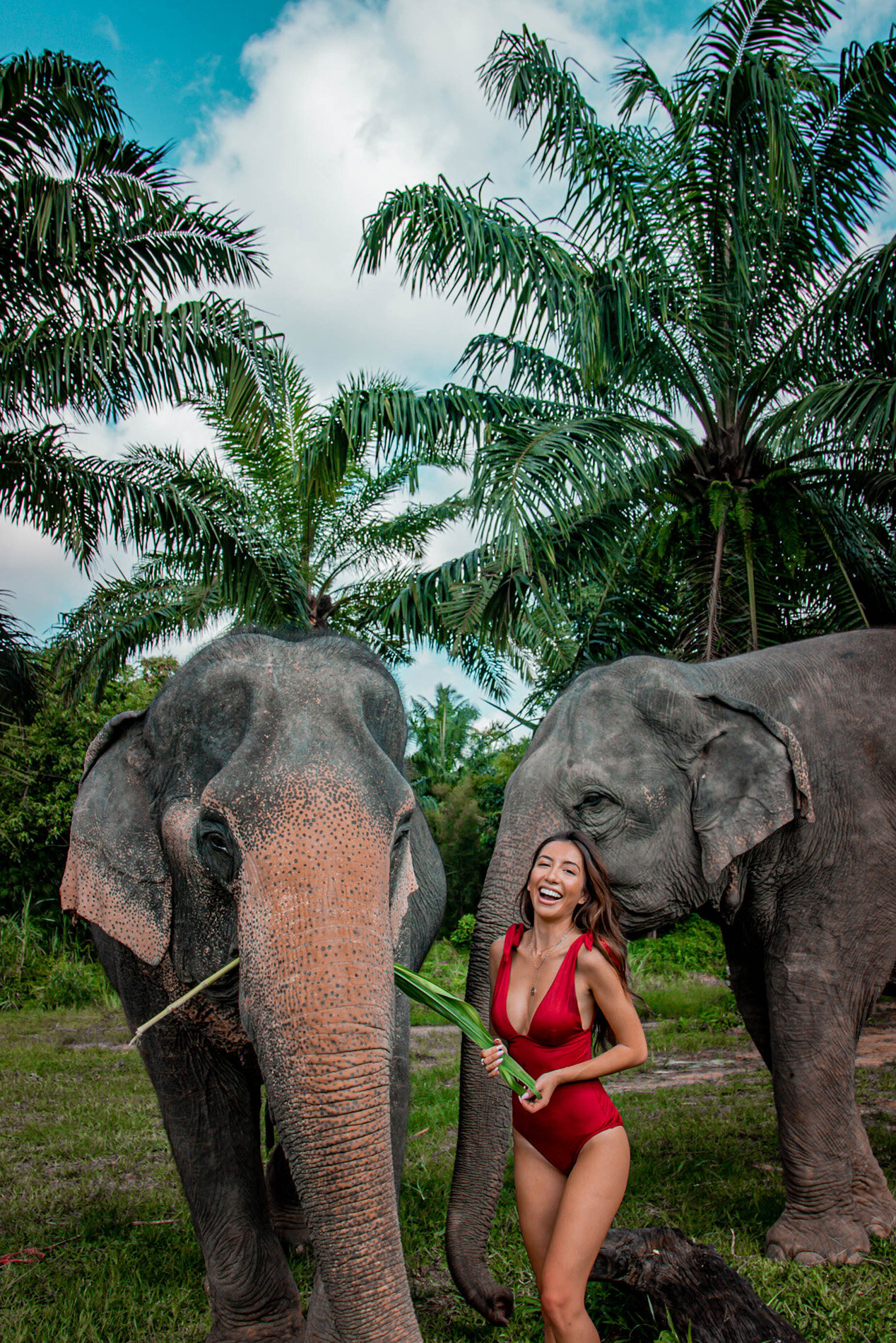 feeding-elephants-sanctuary-thailand-experience.jpg