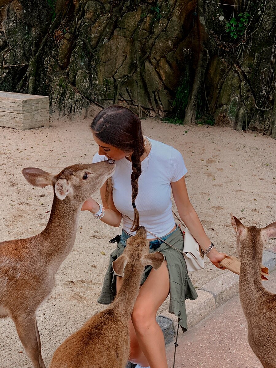 kiss-me-deer.jpg