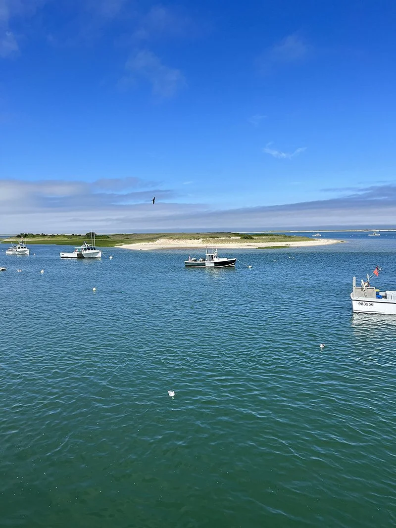 BLOG Pastiche.today — Pastiche.today