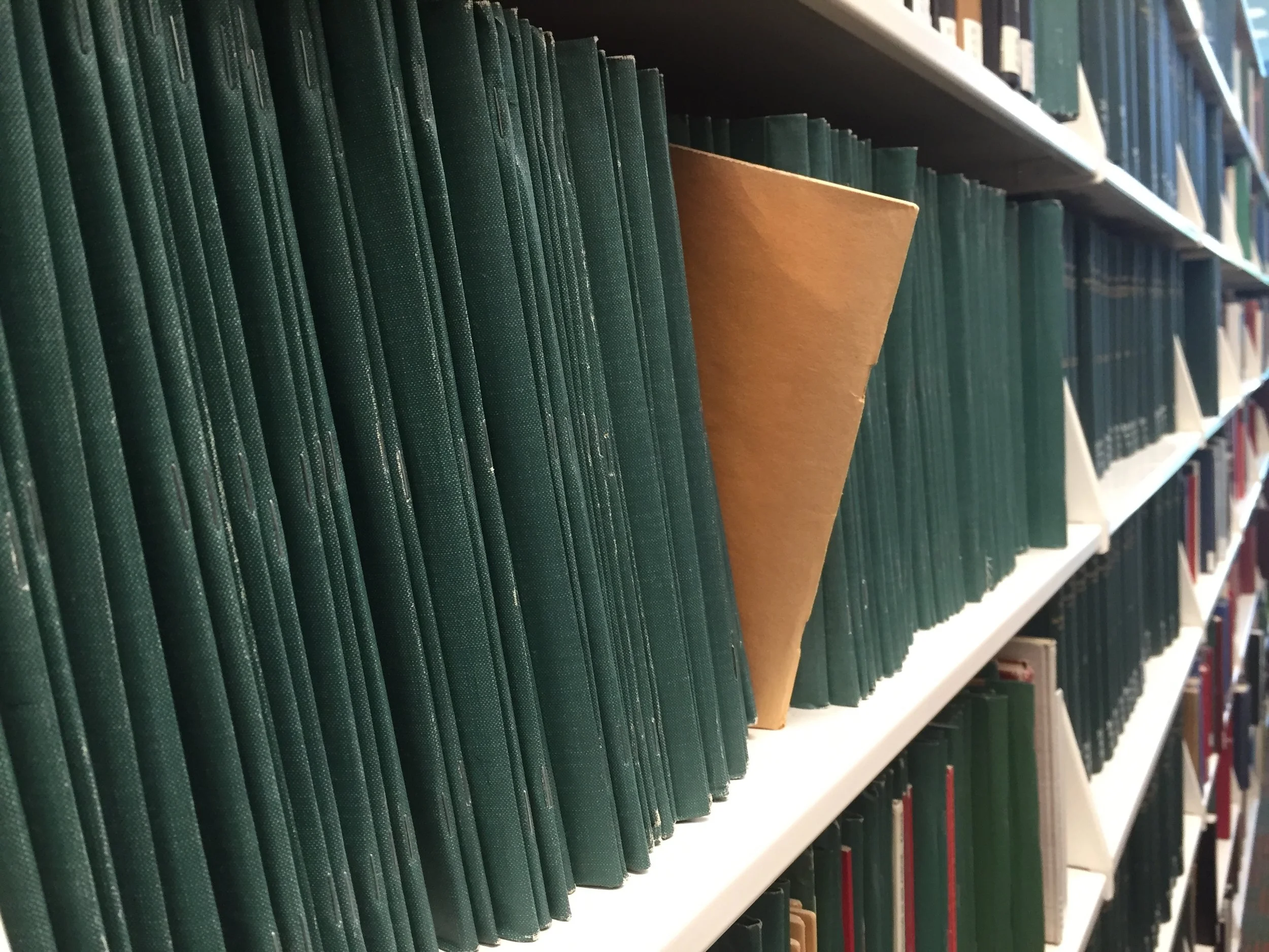 Iphone July 2016 1385.JPG