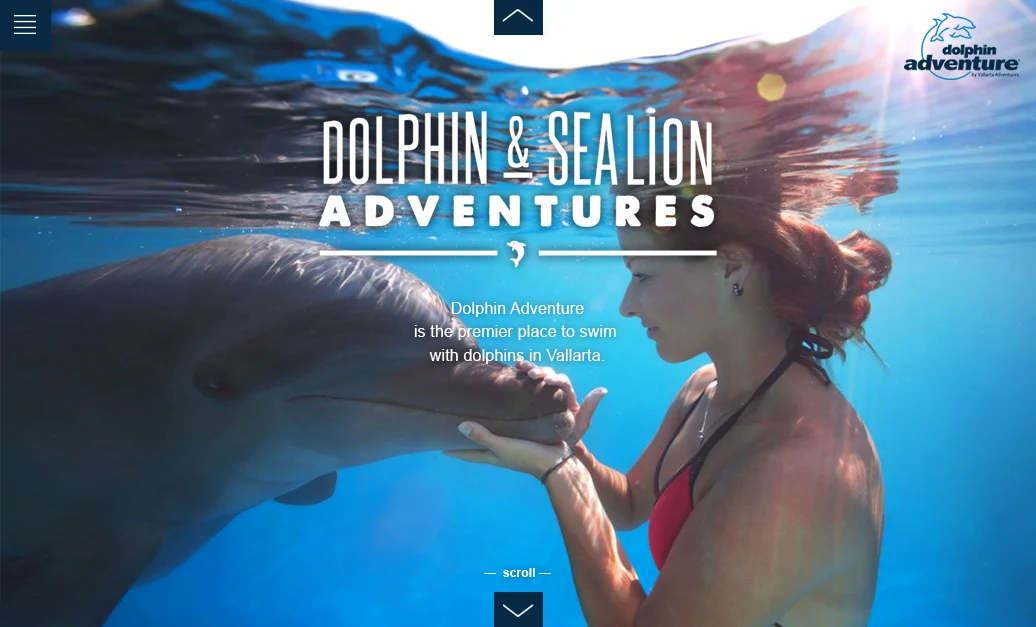 Dolphin_Adventures_home_2_1.jpg