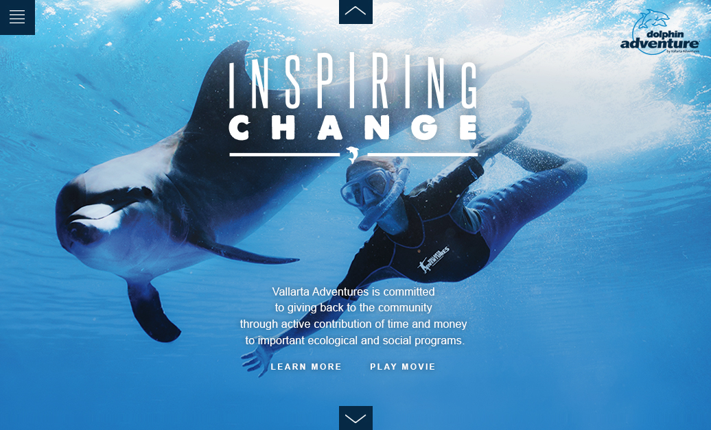 Dolphin_Adventures_home_3.jpg