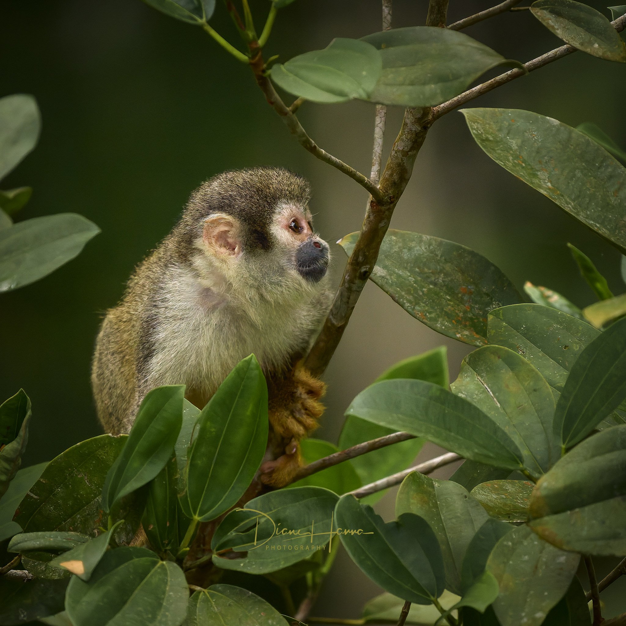 260407-Amazon-142822-21003-DxO_DeepPRIME 3.jpg