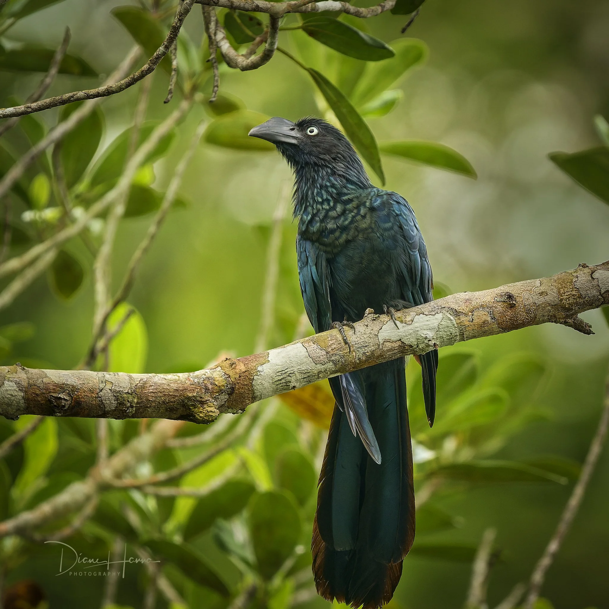 260406-Amazon 2026-044514-18866-DxO_DeepPRIME 3.jpg