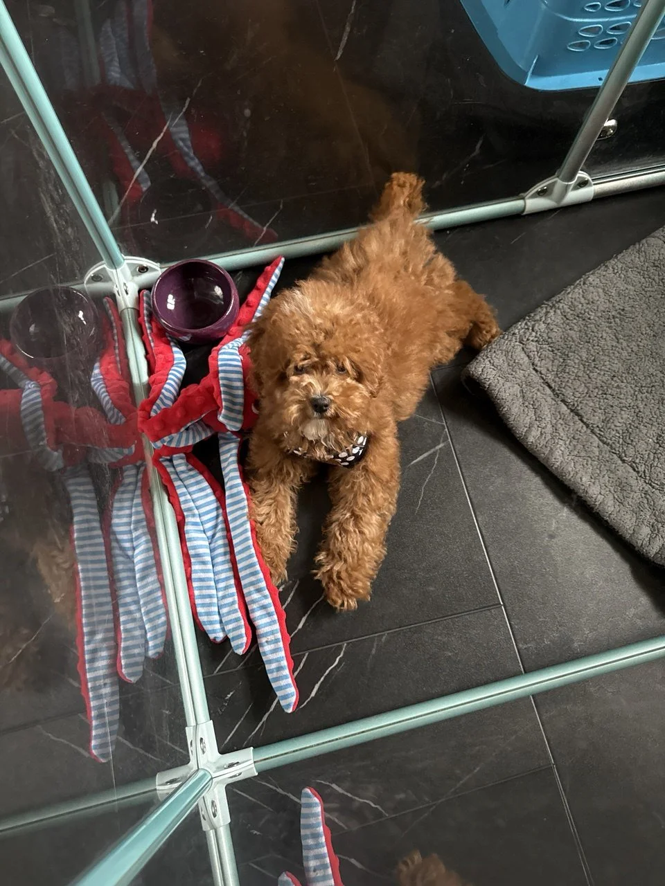 photo_2024-12-09 11.06.04.jpeg