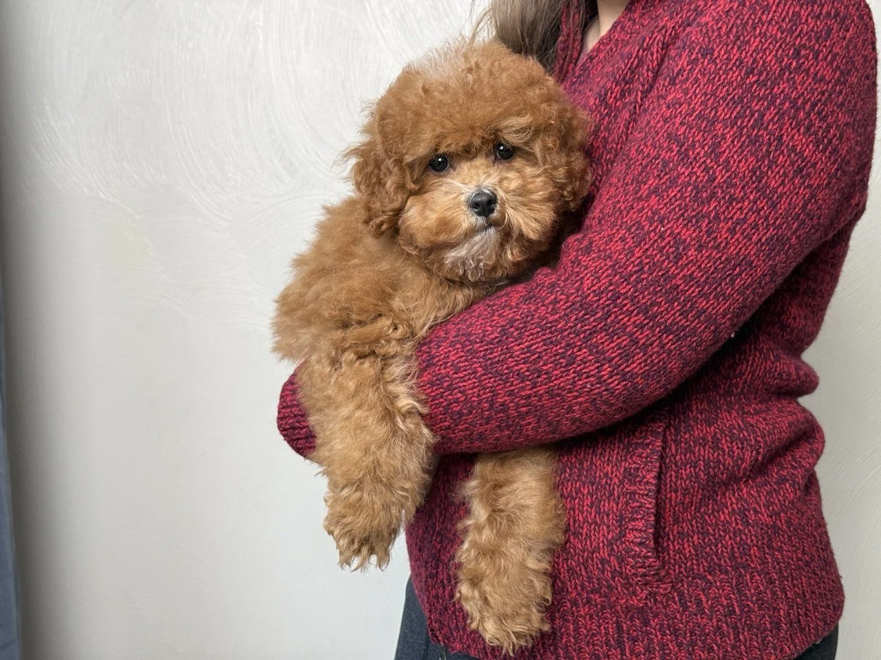 photo_2024-12-10 19.50.25.jpeg