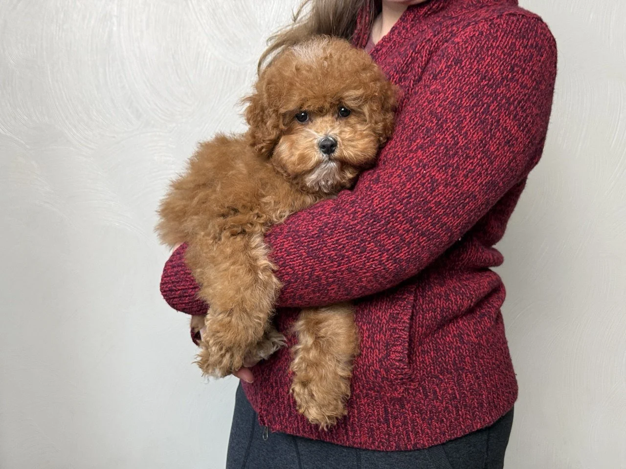 photo_2024-12-10 19.50.22.jpeg