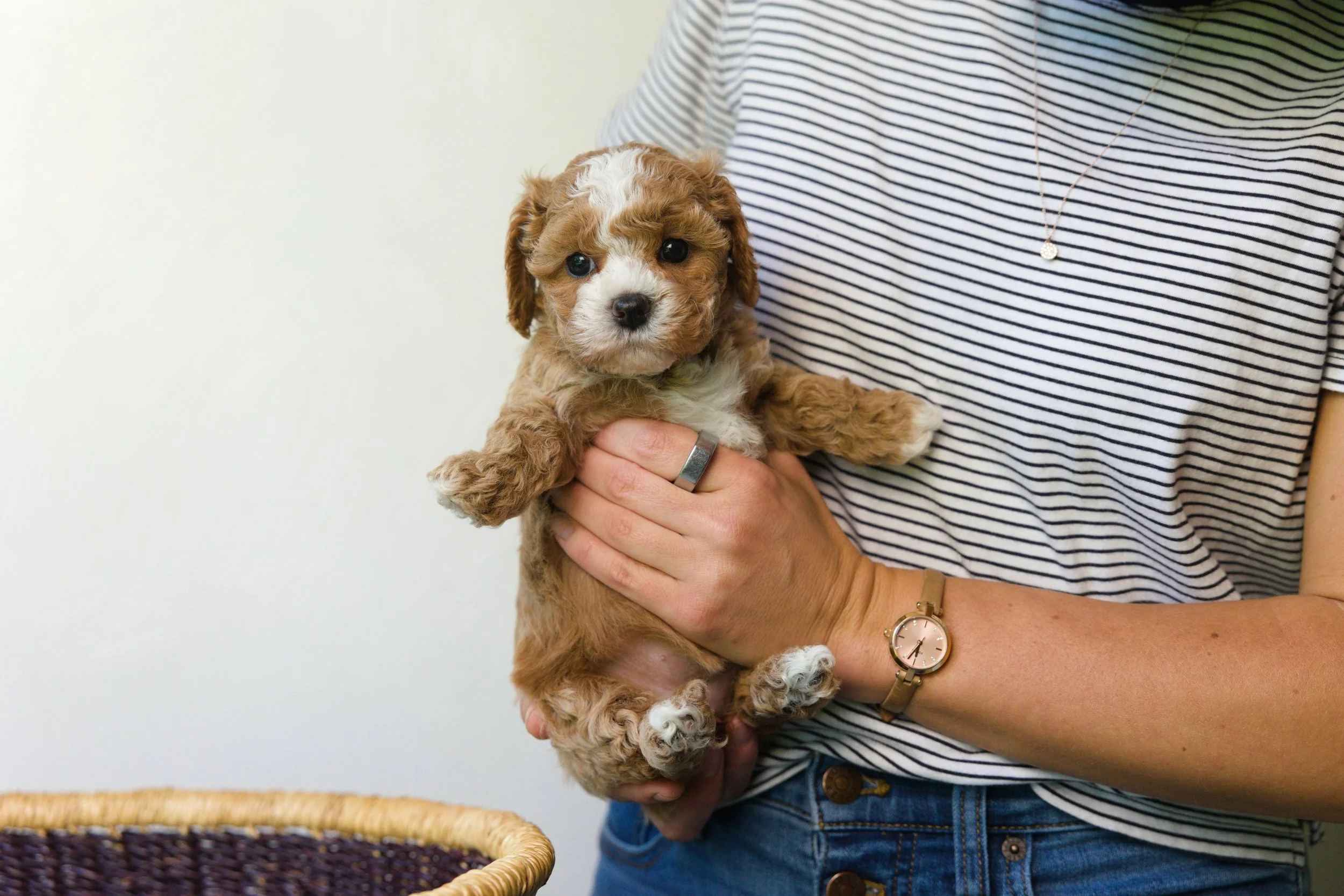 0U0A7256.jpg