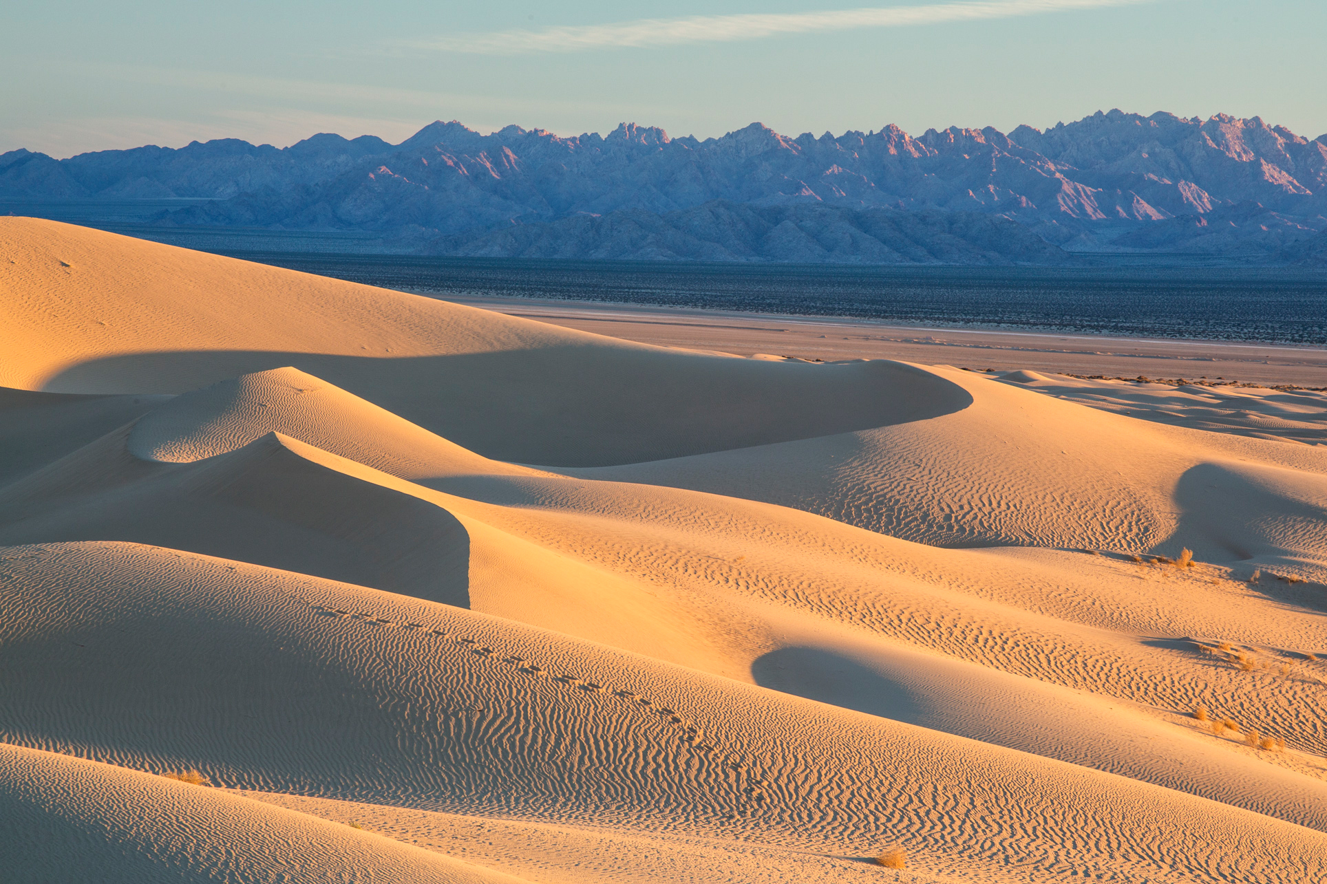 Mojave_Trails_National_Monument_dunes.jpg
