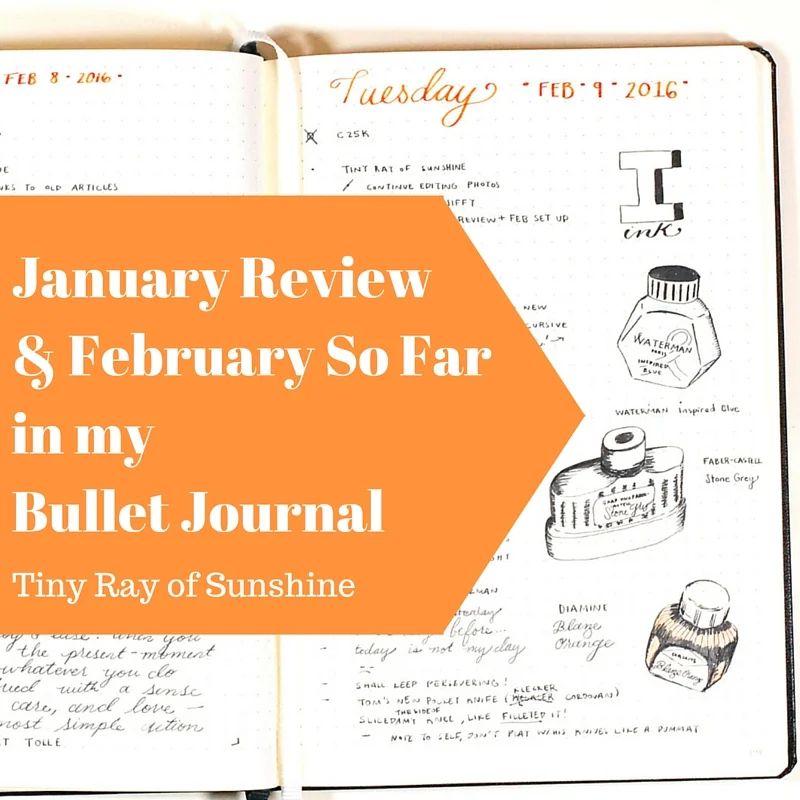 January Review & February So Far in my Bullet Journal