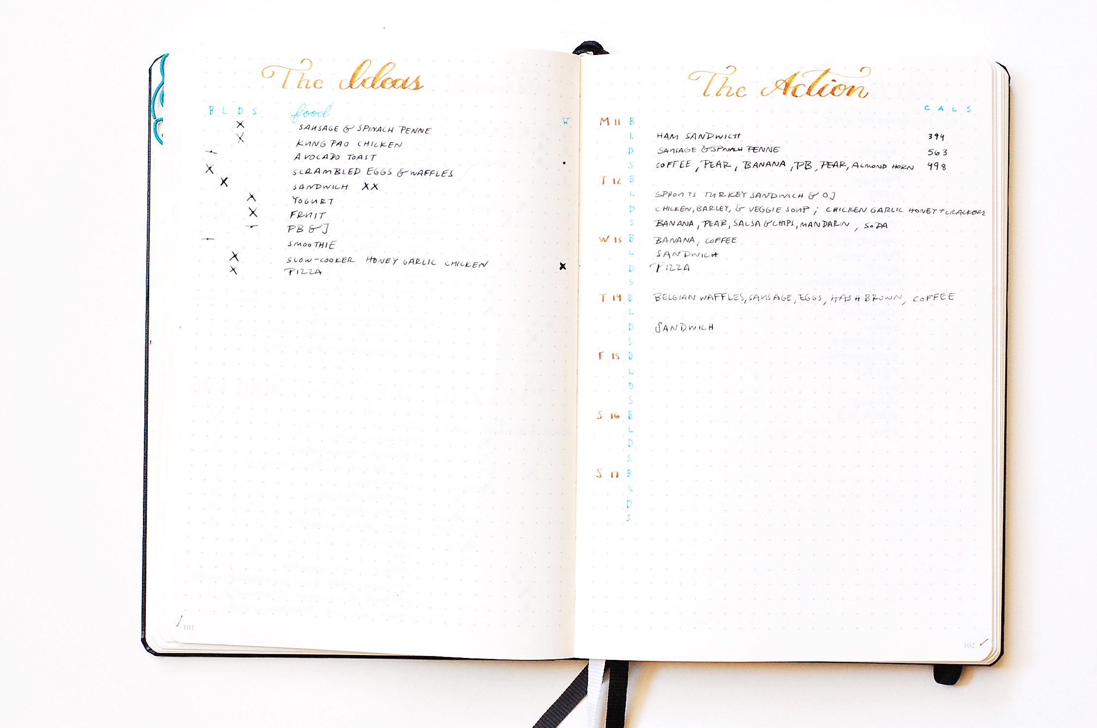 food log