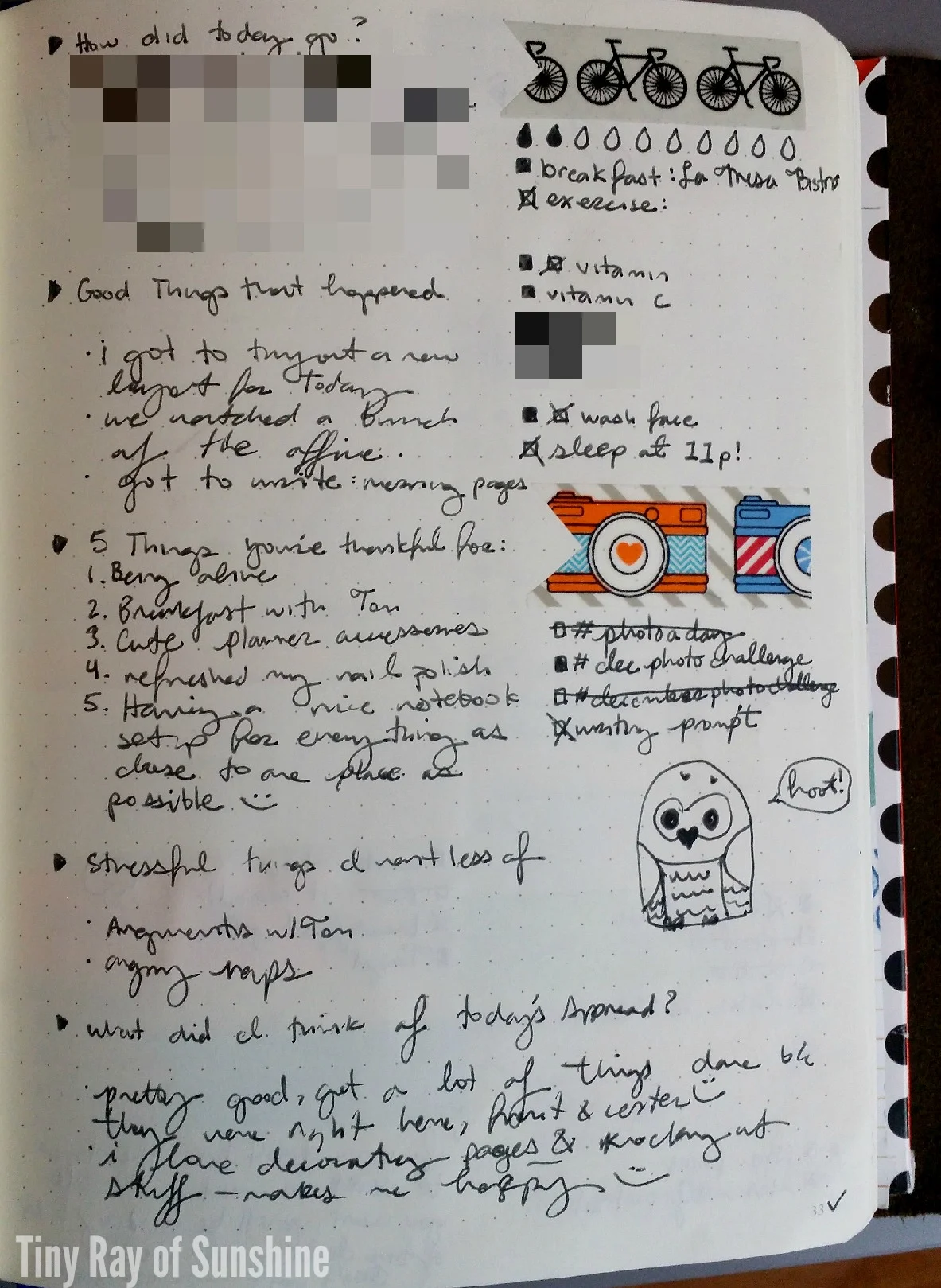 Tinyrayofsunshine.2014.12.30.tinytiptuesday.reviewyourdayforpeaceandclarity.example4.jpg