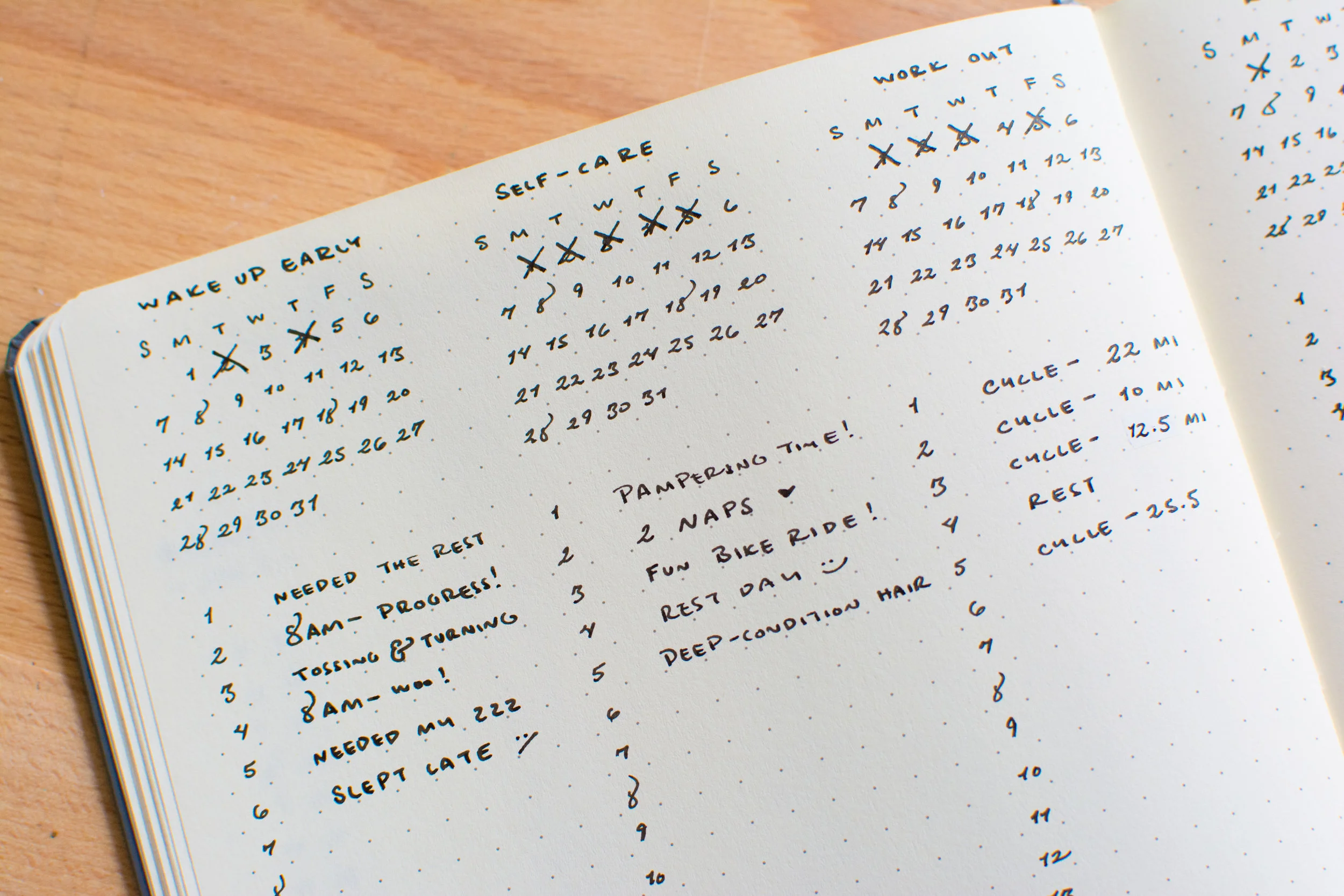 Tiny Ray of Sunshine Habit Tracker with Notes-5.jpg