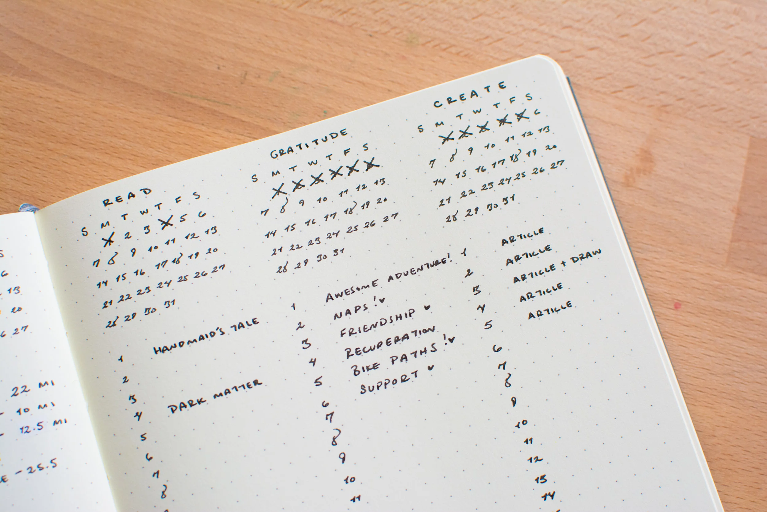 Tiny Ray of Sunshine Habit Tracker with Notes-6.jpg