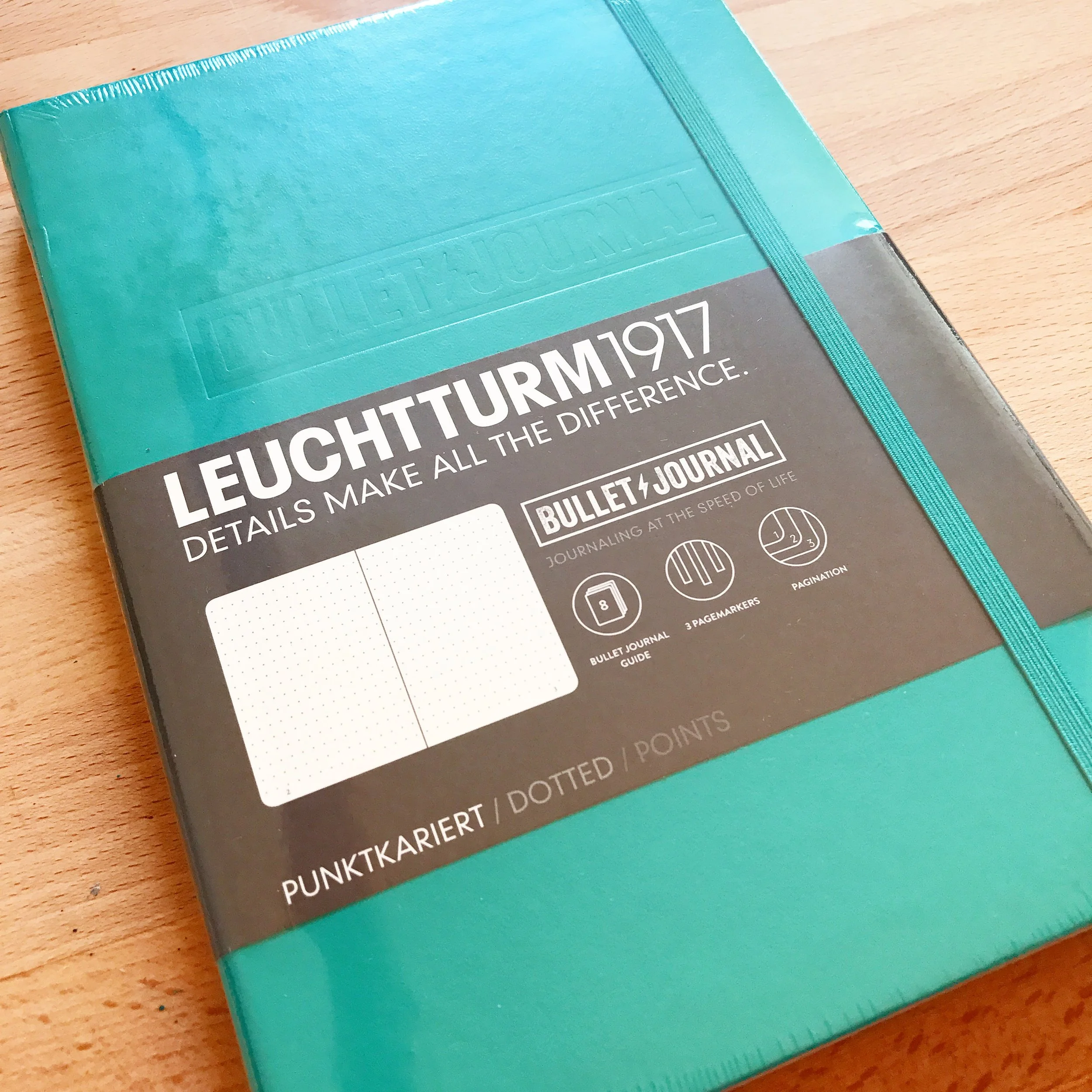 Tiny Ray of Sunshine Emerald Bullet Journal.JPG