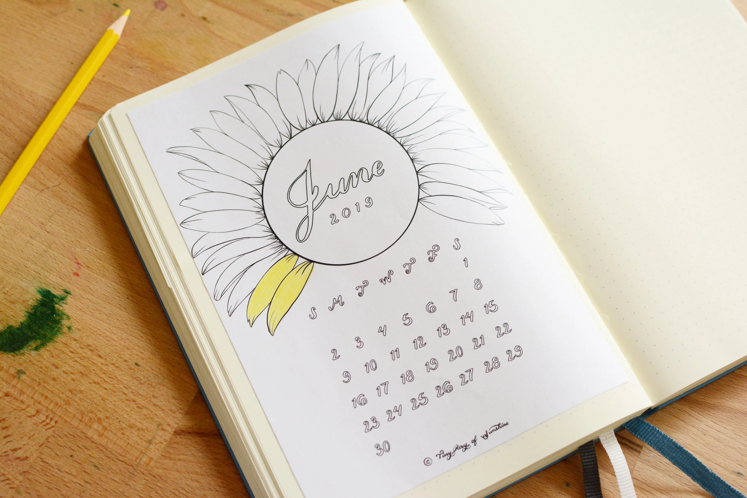 Color in the month calendar. By Tiny Ray of Sunshine