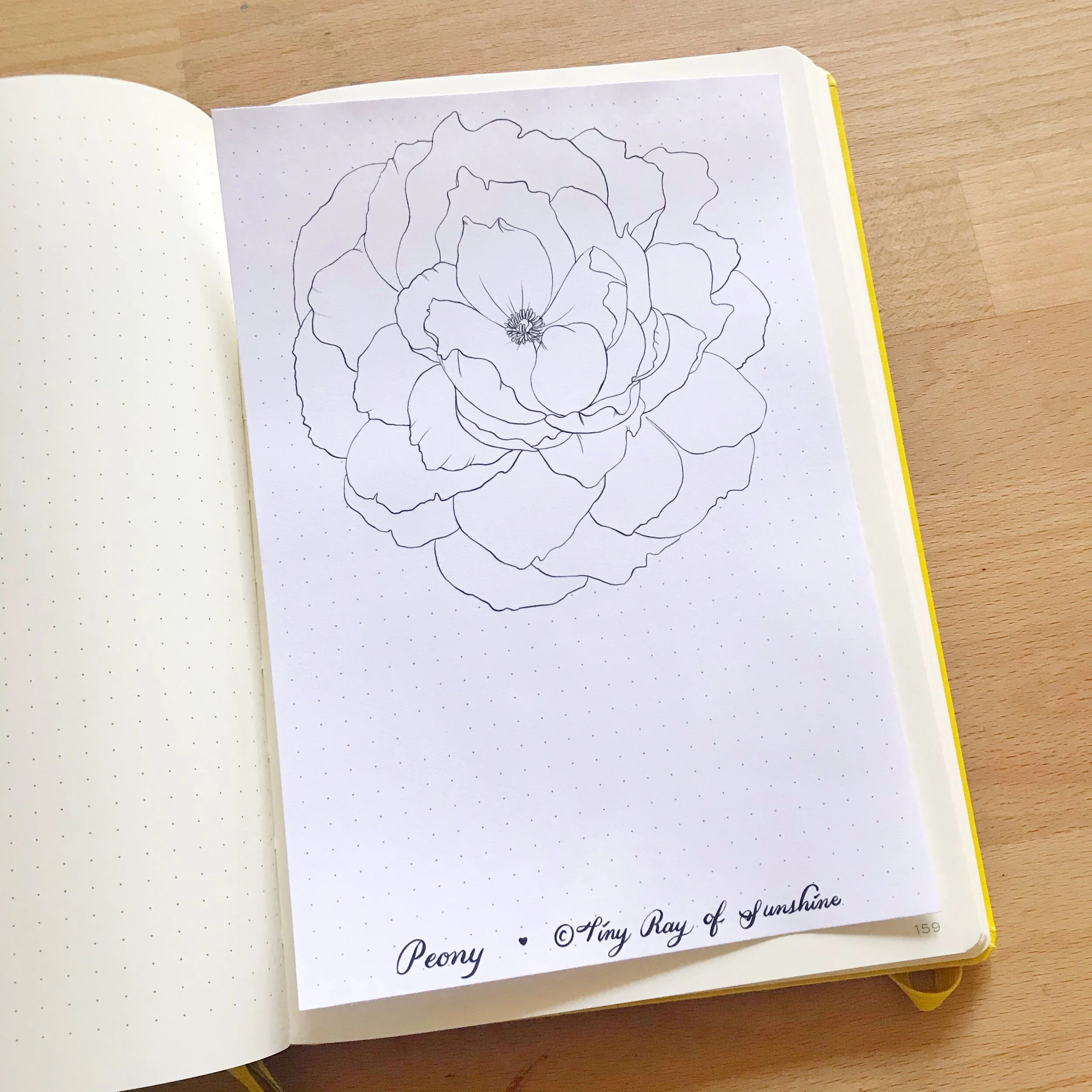 Peony