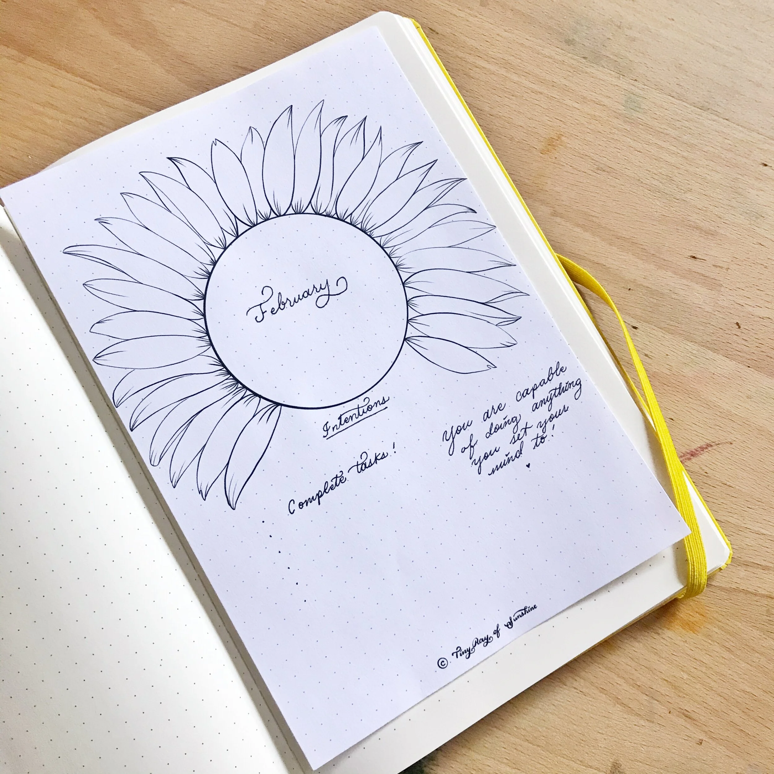 Sunflower Example Tiny Ray of Sunshine.jpg