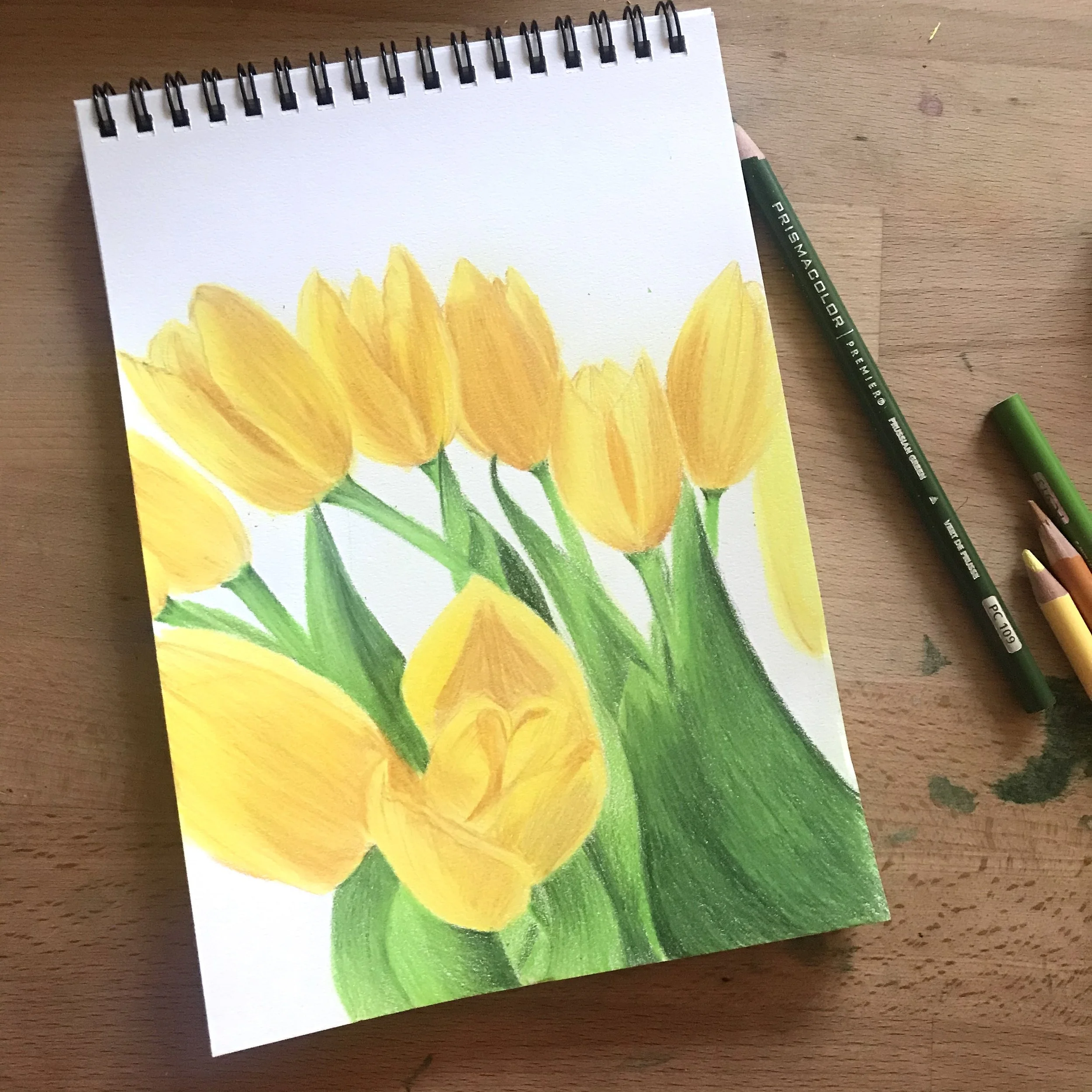Yellow Tulips
