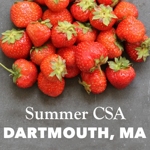 2026 SUMMER CSA - DARTMOUTH, MA