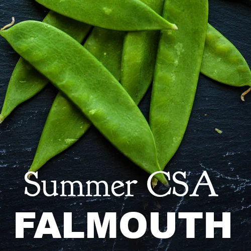 2026 Falmouth Farmers' Market CSA