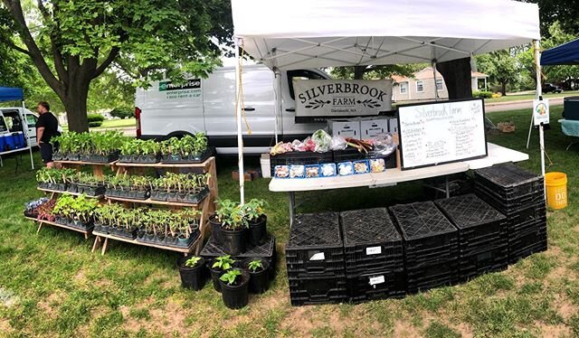 Located at the @falmouthfarmersmarket from 12-5! Come on down for some fresh spring veggies!