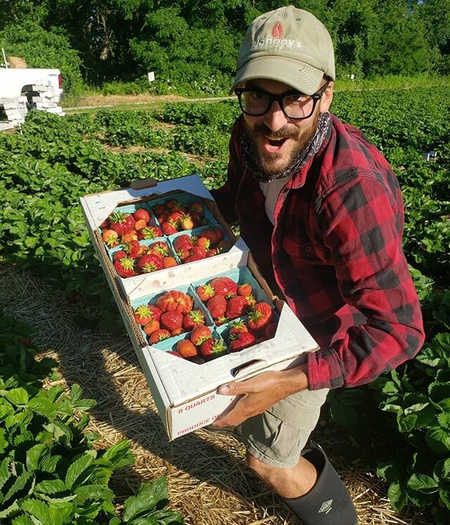 Picking some fresh ones @fourtownfarm #farmstand #strawberries #buyfreshbuylocal