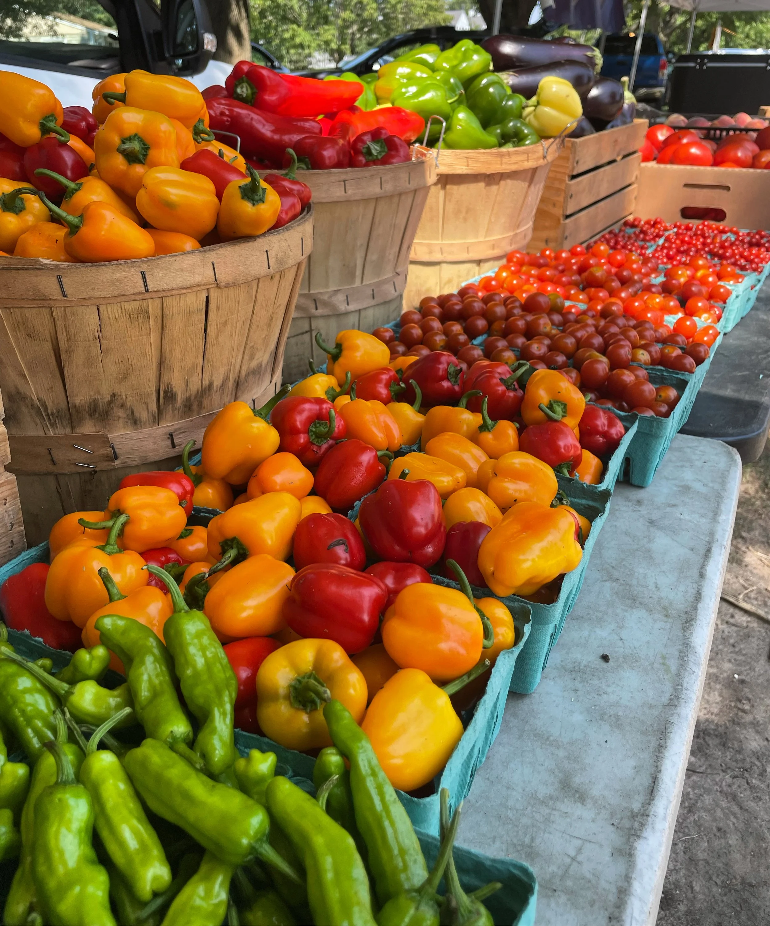 Assorted fresh peppers and tomatoes displayed at an outdoor market stall, including green, yellow, red, and orange peppers, and various types of cherry tomatoes.