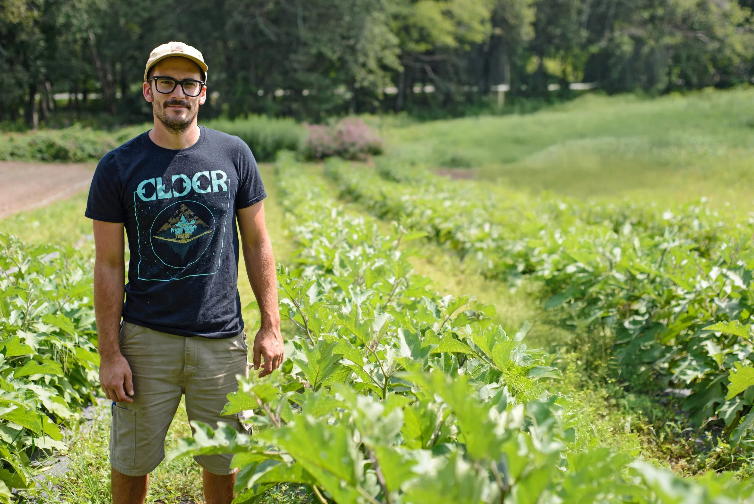 Man standing in a green farm field with rows of leafy plants, wearing a black graphic t-shirt, beige shorts, glasses, and a beige cap.