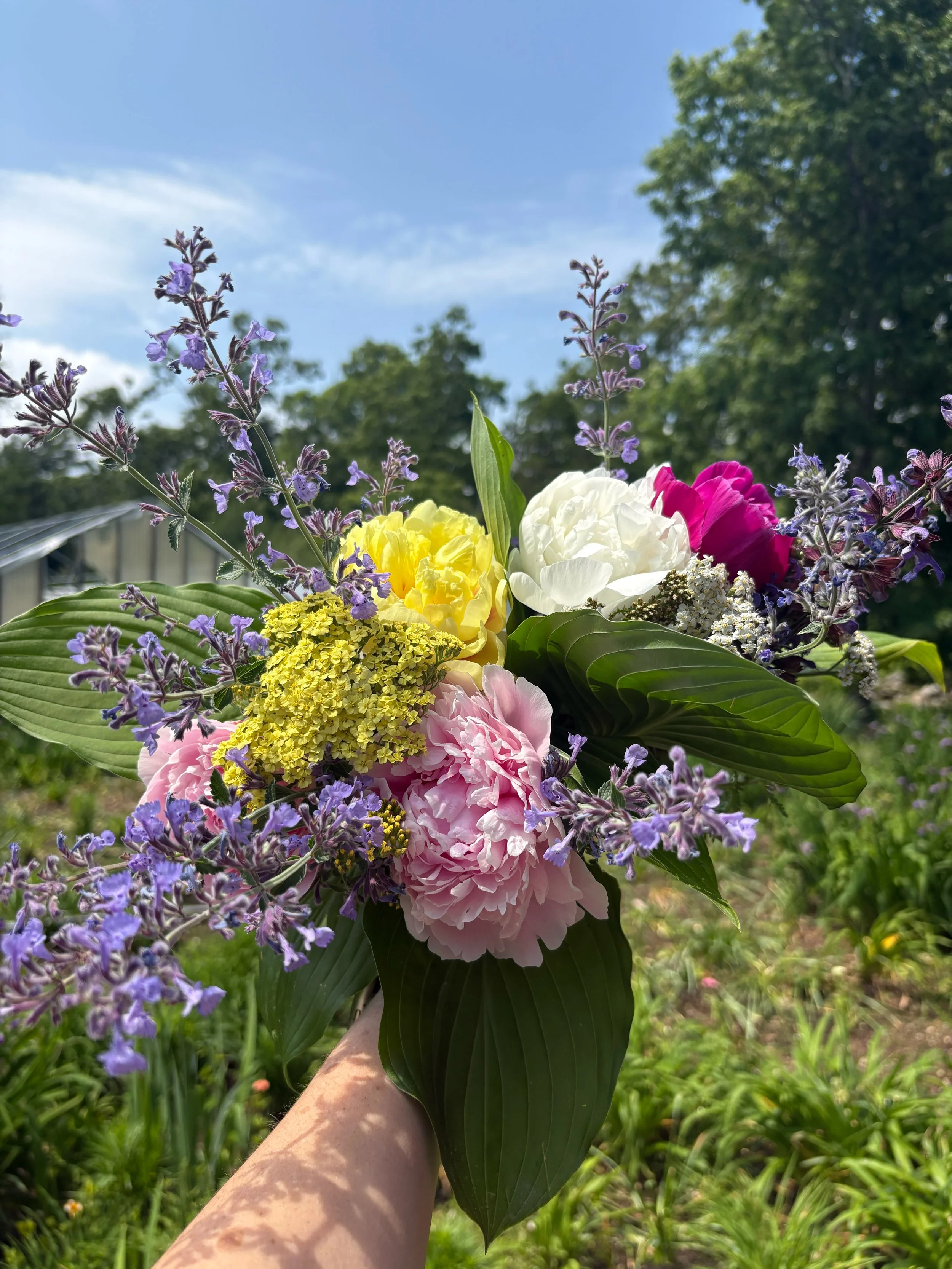 Colorful bouquet of various flowers including peonies, lavender, and yarrow held outdoors against a backdrop of trees and blue sky.