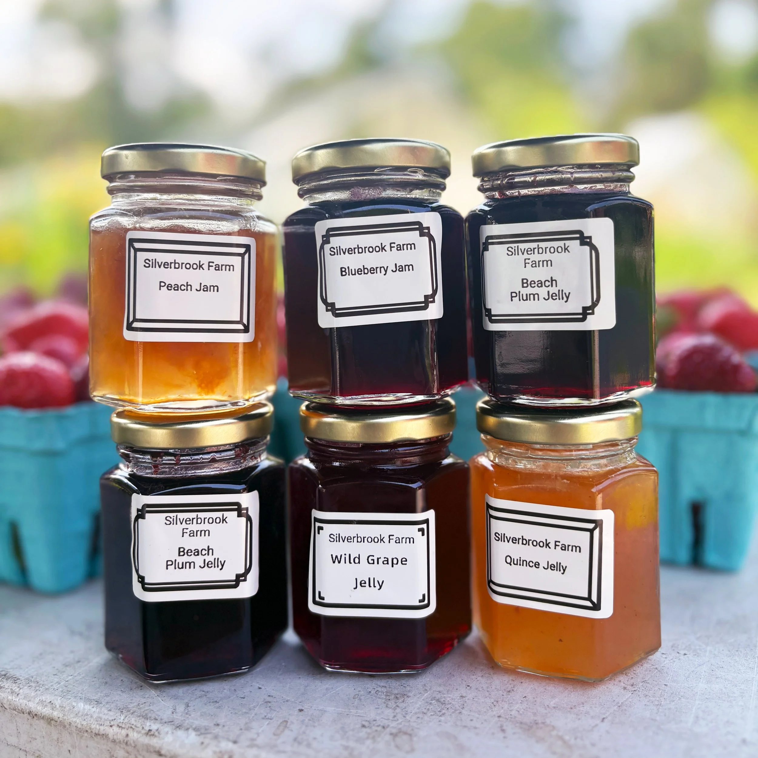 Six jars of jam with white labels on a stone surface, with berries in blue baskets in the background. The jars are labeled Peach Jam, Blueberry Jam, Beach Plum Jelly, Beach Plum Jelly, Wild Grape Jelly, and Quince Jelly from Silverbrook Farm.