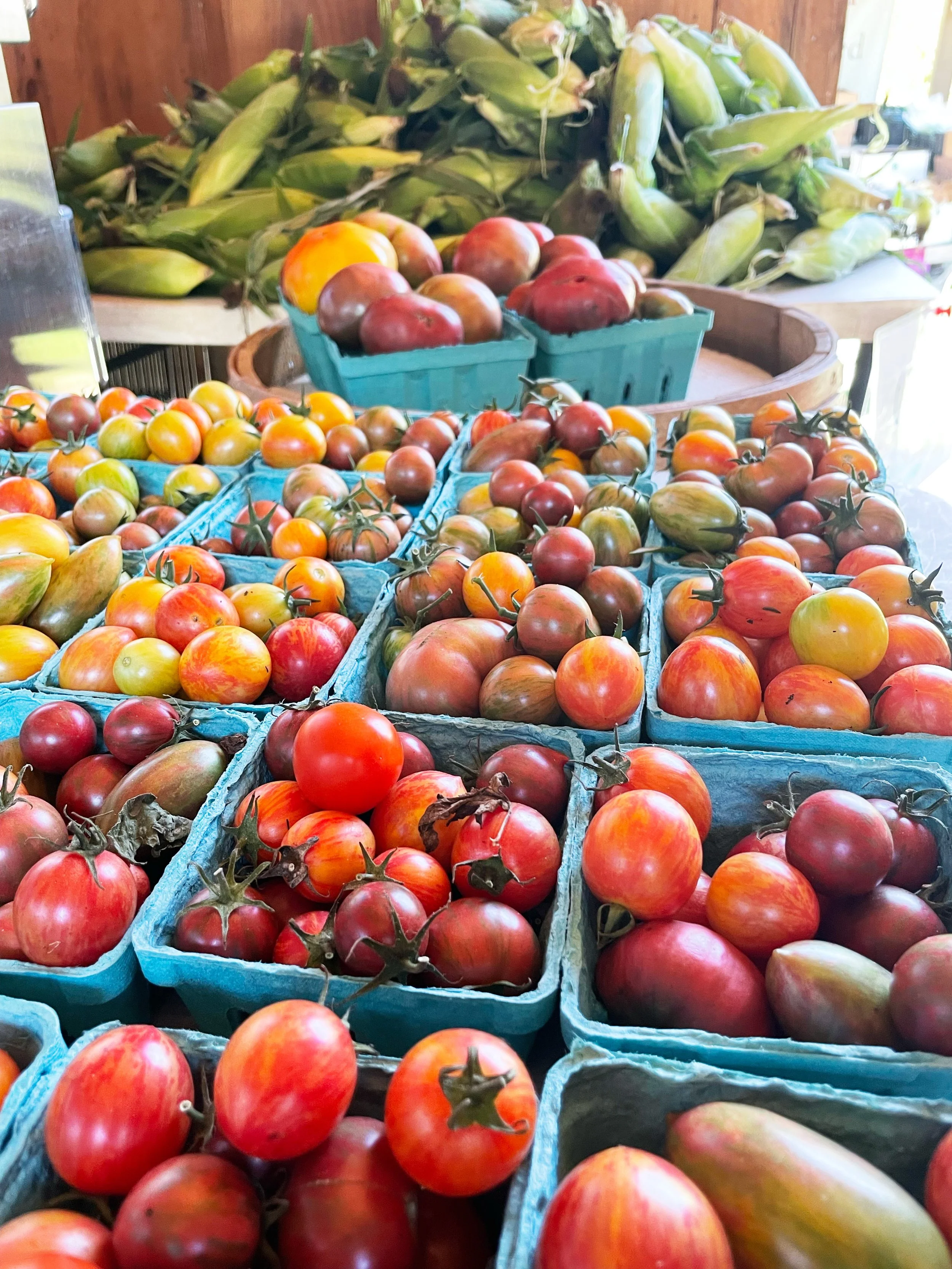 A display of various fresh tomatoes in small blue baskets at a market stall, with corn on the cob in the background.