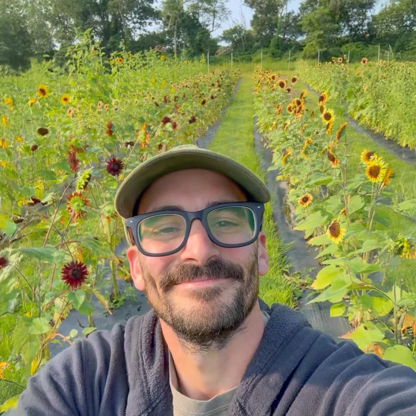 Andrew-Sunflowers.jpg