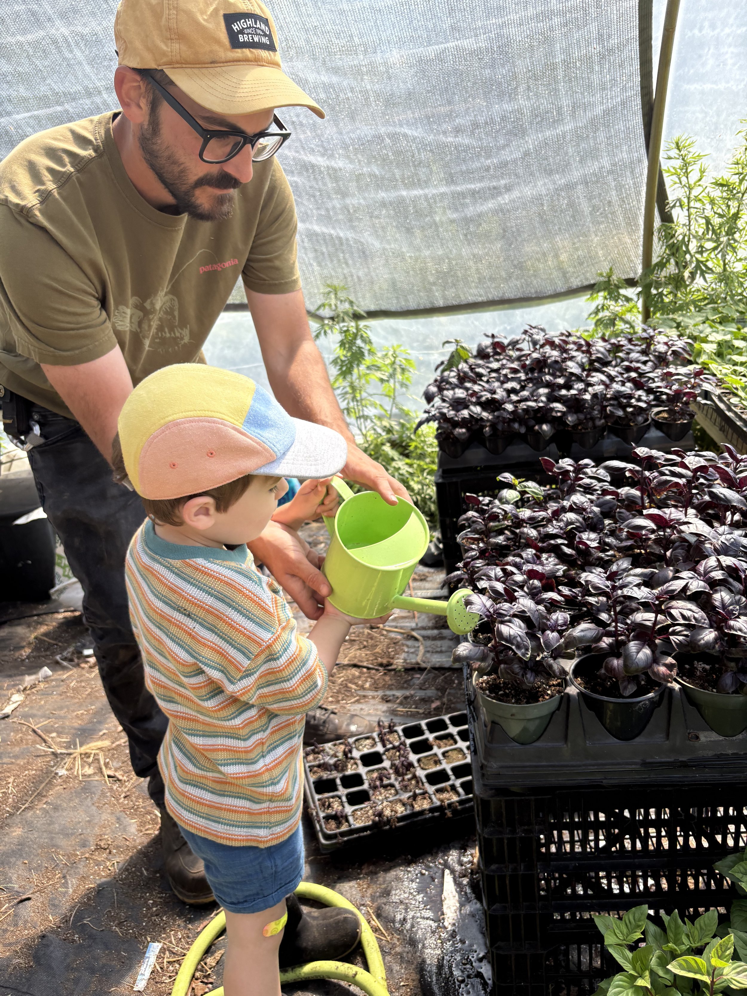 A man and a young boy watering plants in a greenhouse, with the man helping the boy hold a small green watering can. The boy is wearing a colorful striped shirt, blue shorts, and a multicolored cap. The plants are dark purple and grow in small pots o