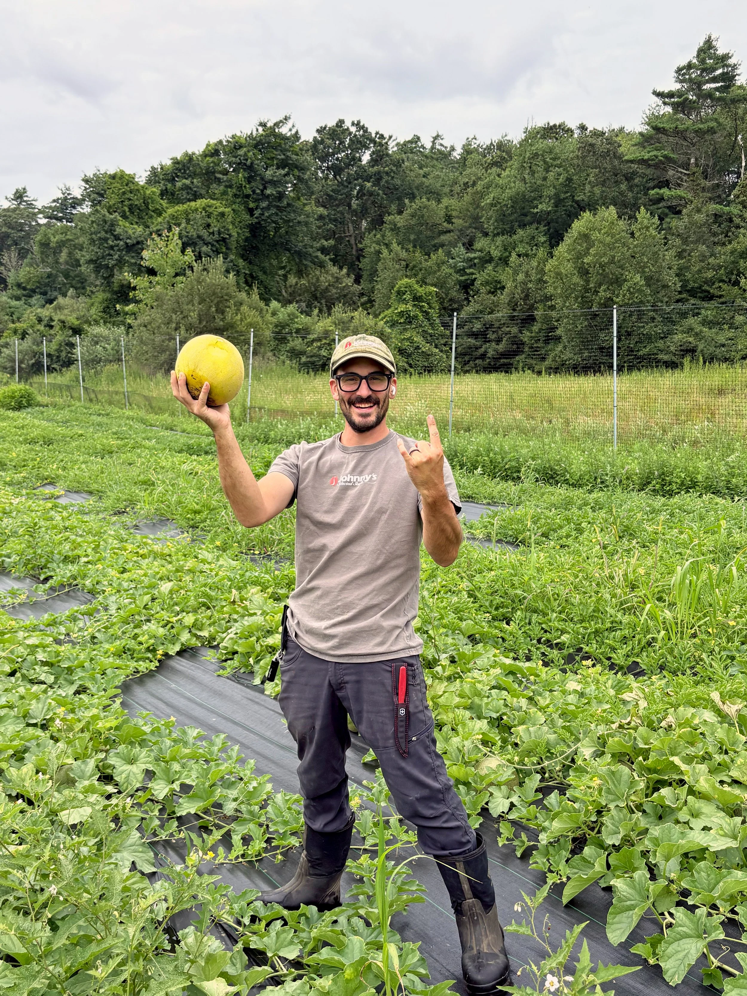A man standing in a field of leafy plants holding a large yellow watermelon in one hand and making a rock and roll hand gesture with the other, smiling at the camera.