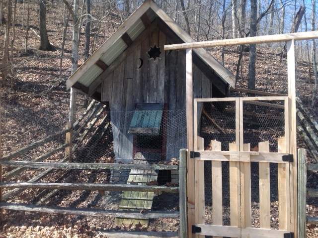 Barn Chicken coop.jpg