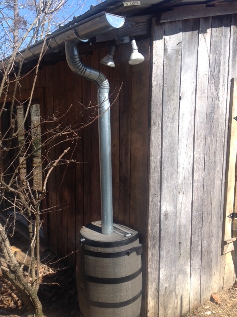 Barn Rainbarrel.jpg