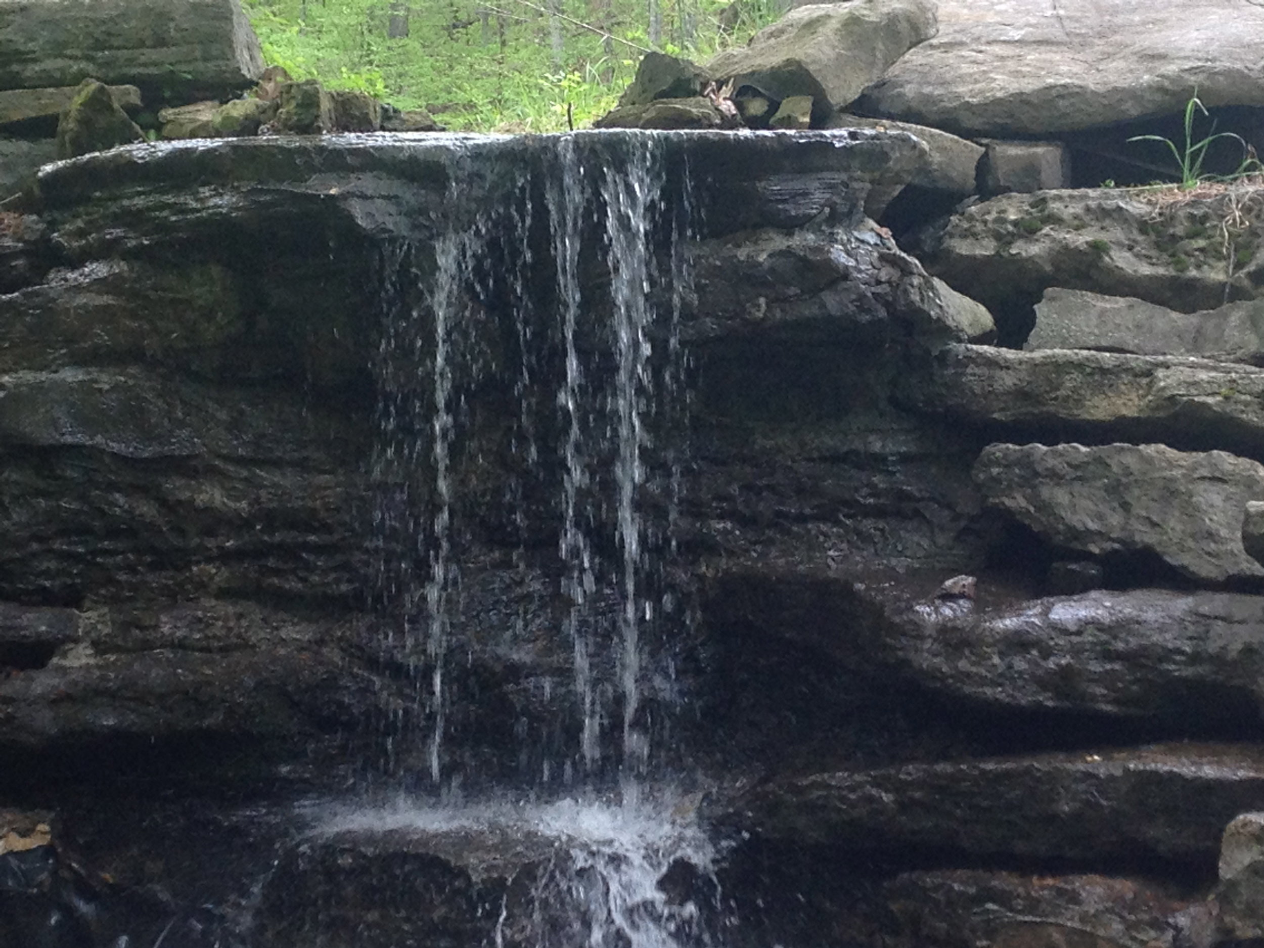 pond waterfall.jpg