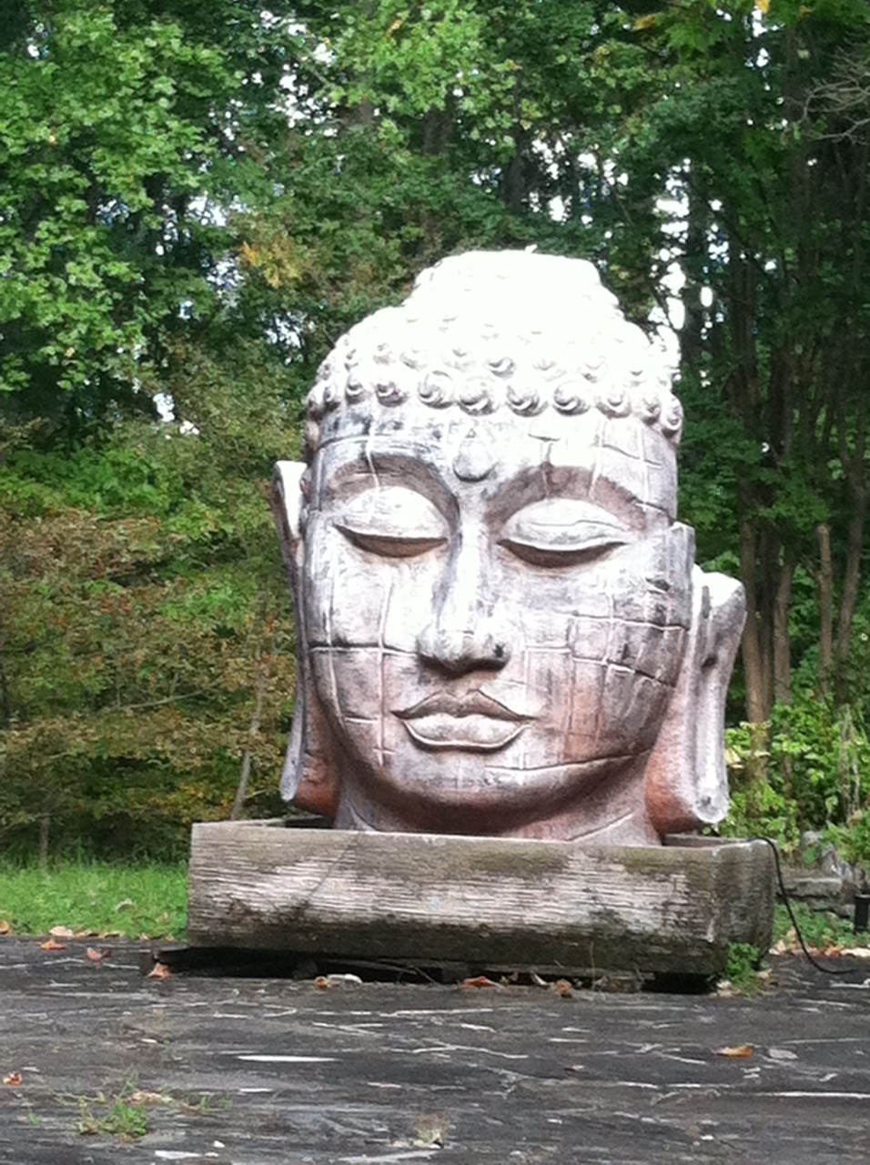 buddha head copy.JPG