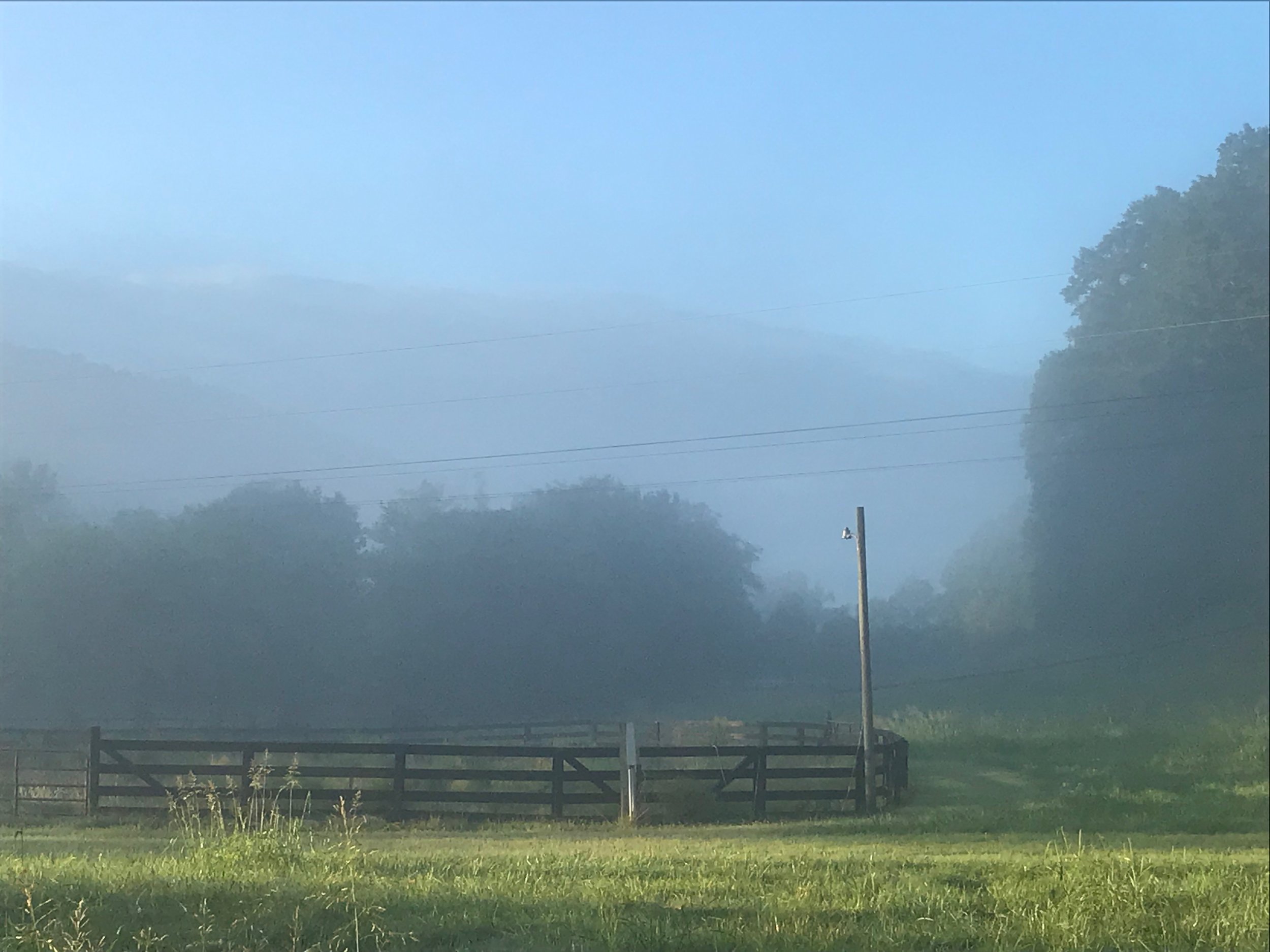 McP Mist over circle corral.JPG