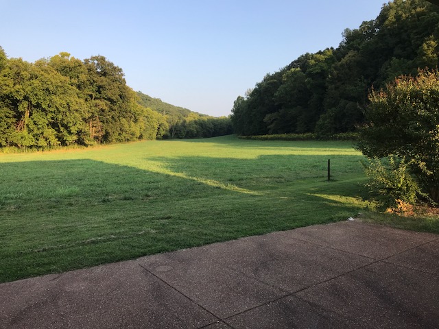 McP pasture view fropm porch.JPG