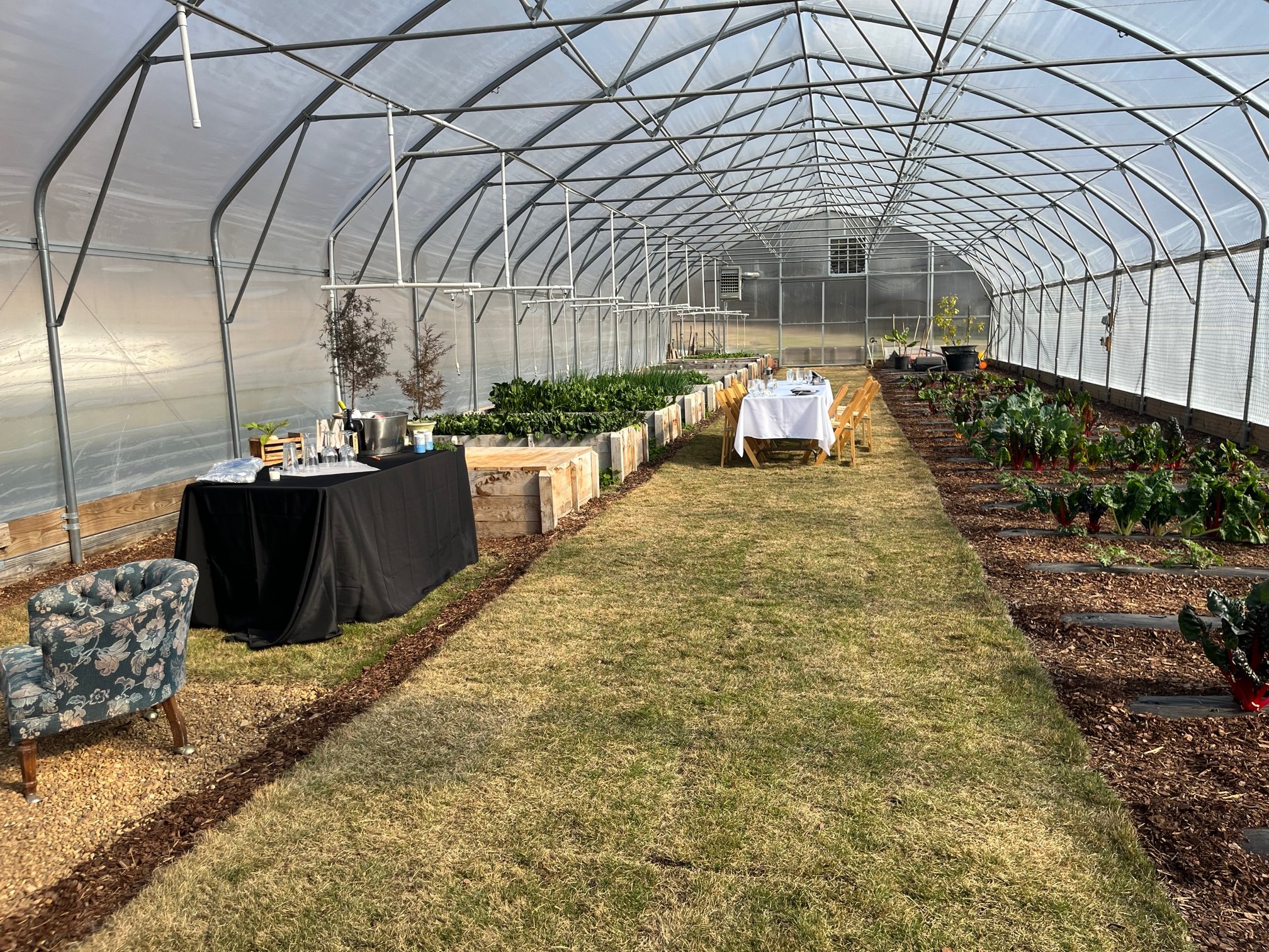 Farm to table in greenhouse.jpg